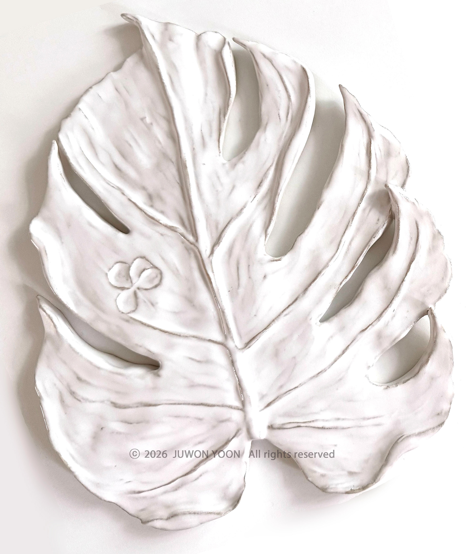 새겨진 시간 Imprinted Time Monstera_ceramic 2026