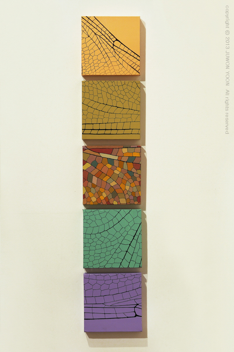 잠자리그물 DRAGONFLY NET  20x20cm each acrylic and pen on canvas 2013