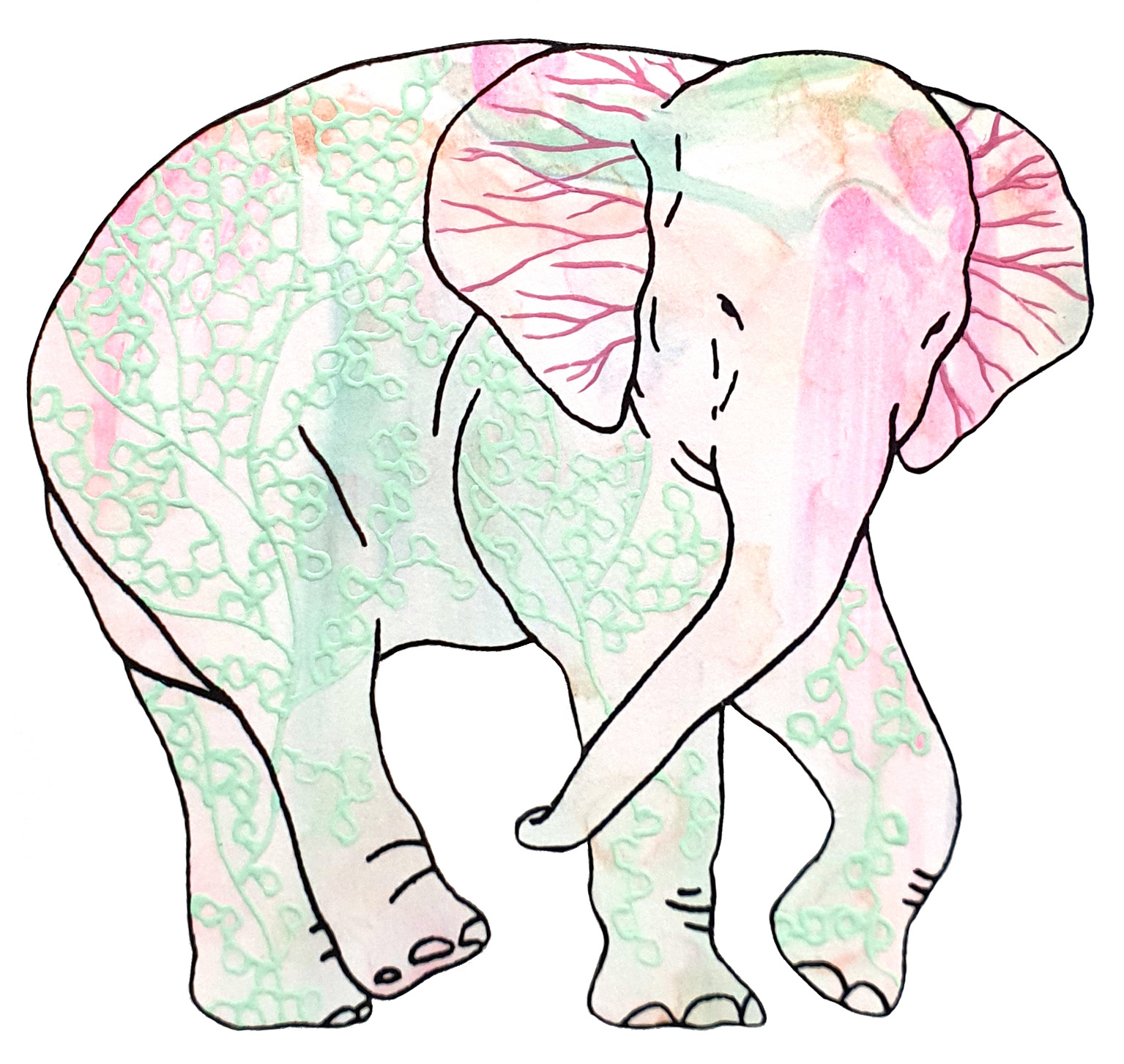 상아없는 데코펀트 DECOPHANT without IVORY 02 2022