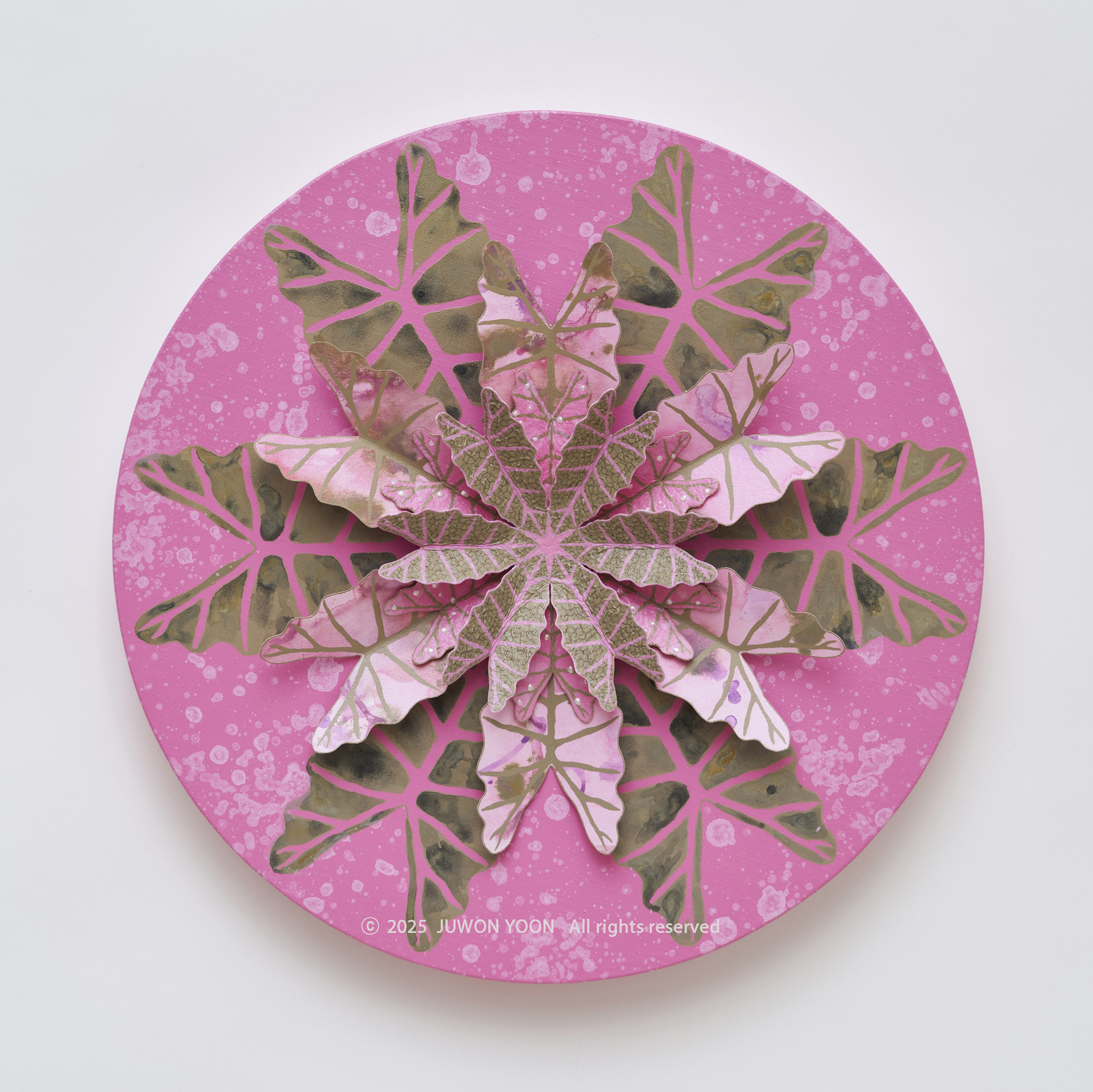 여섯잎의 순환:번짐 Rebirth-Hexa Foliage: Blush Ø40cm mixed media on canvas 2025