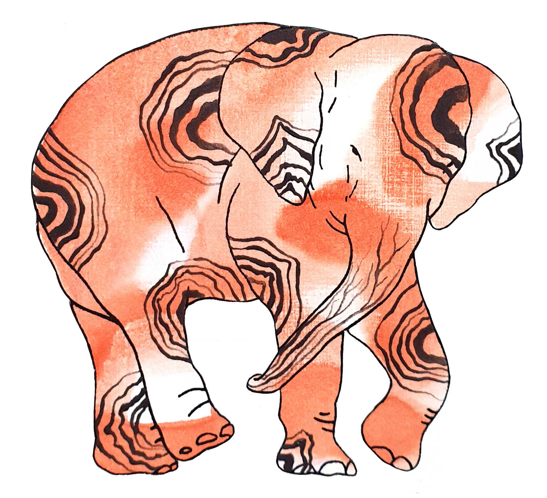 상아없는 데코펀트 DECOPHANT without IVORY 04 2022