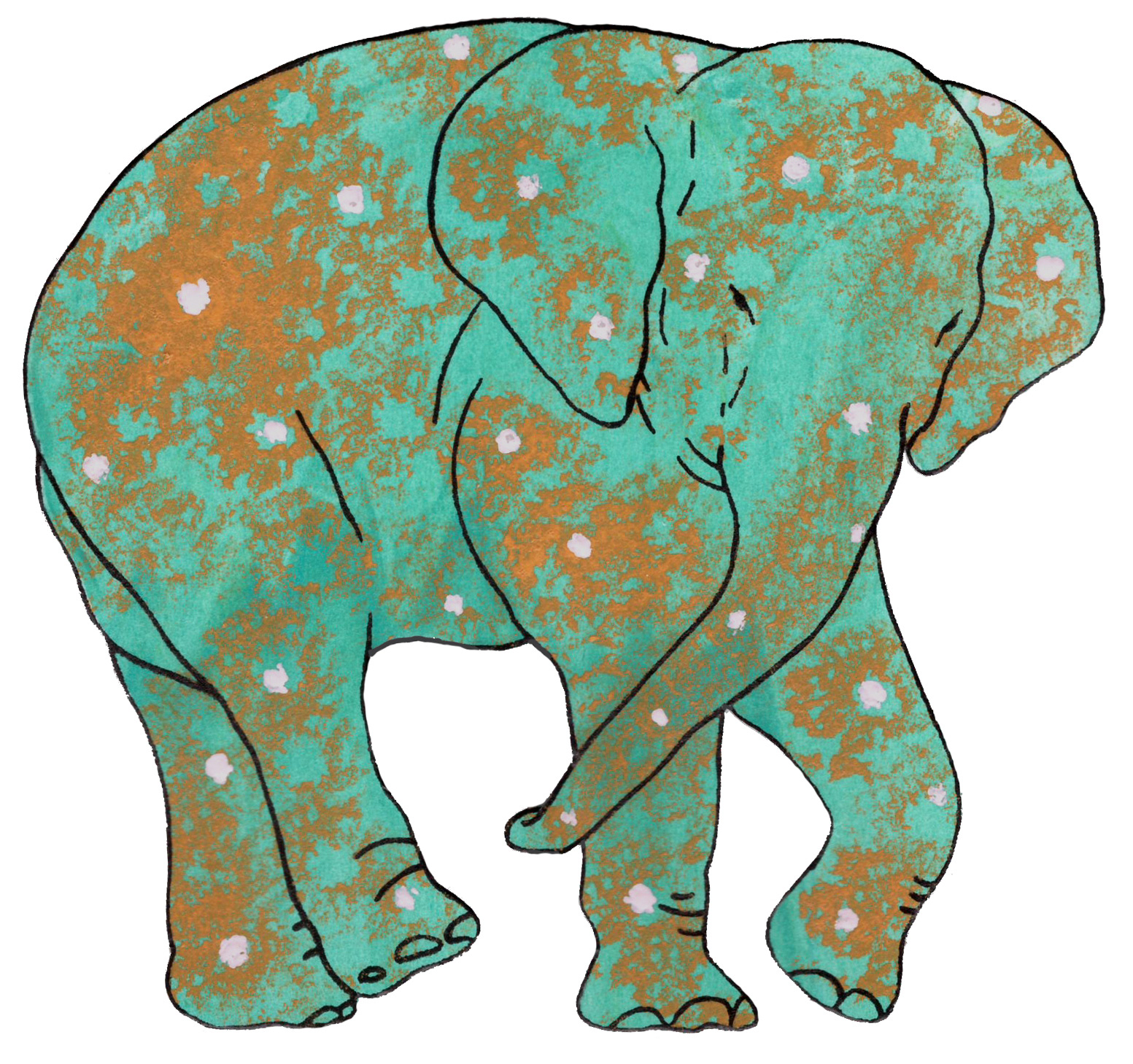 상아없는 데코펀트 DECOPHANT without IVORY 12 2022