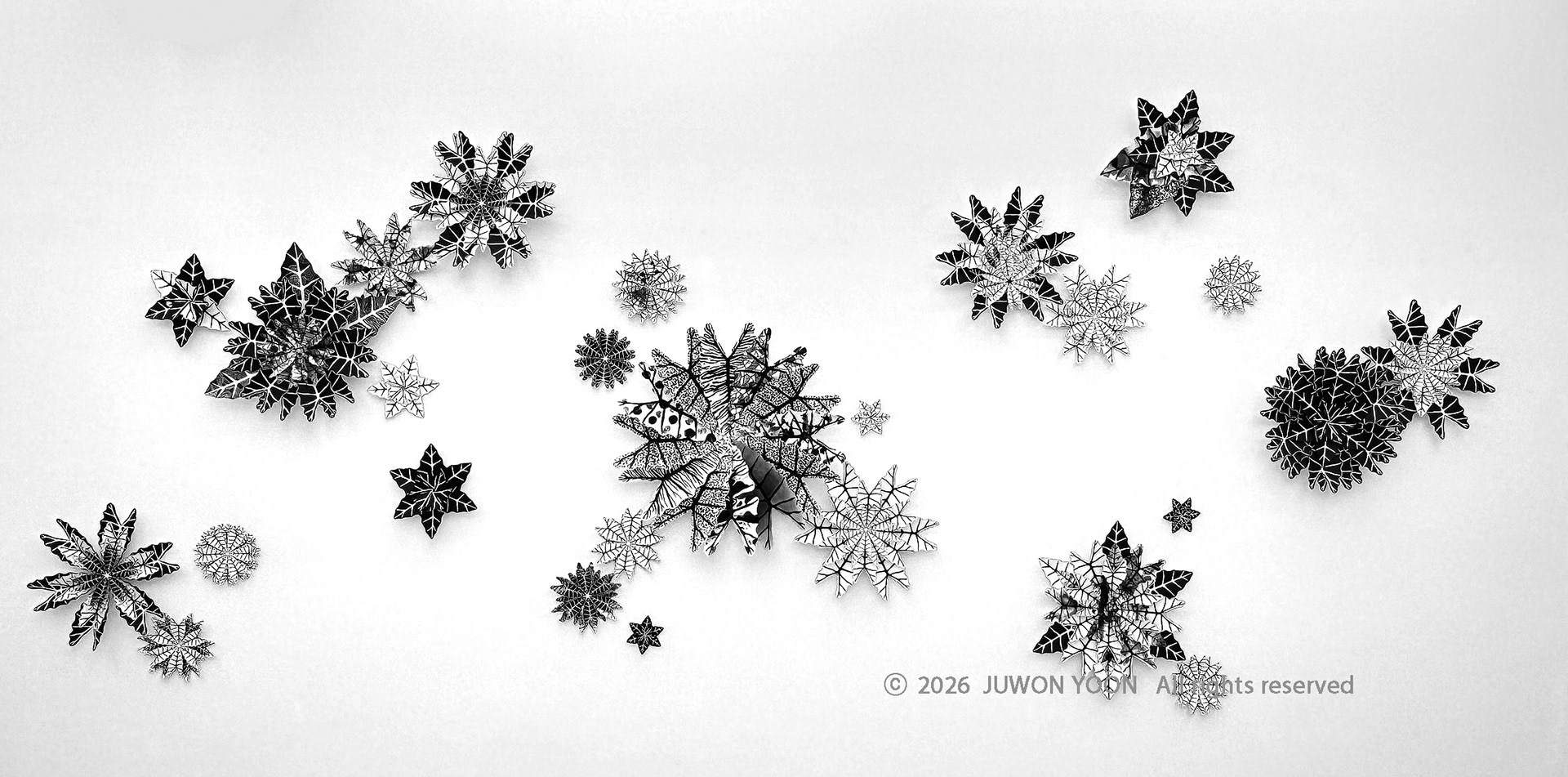 하나의 잎, 무한한 변주 One Leaf, Infinite Variation_mixed media on paper_installation 2026