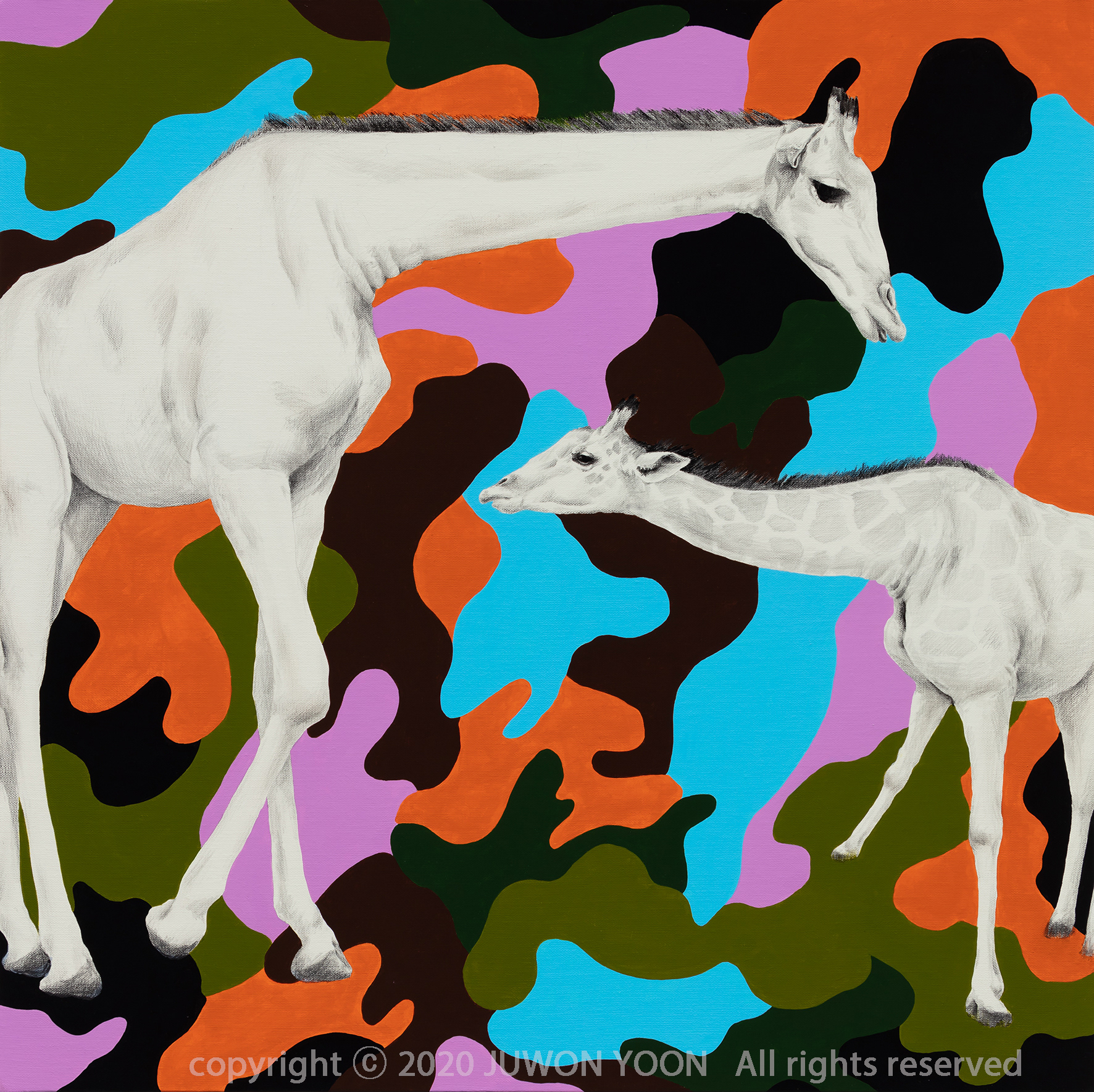  흰 기린 한쌍 A PAIR OF WHITE GIRAFFES  72.7☓72cm acrylic and pencil on canvas 2020