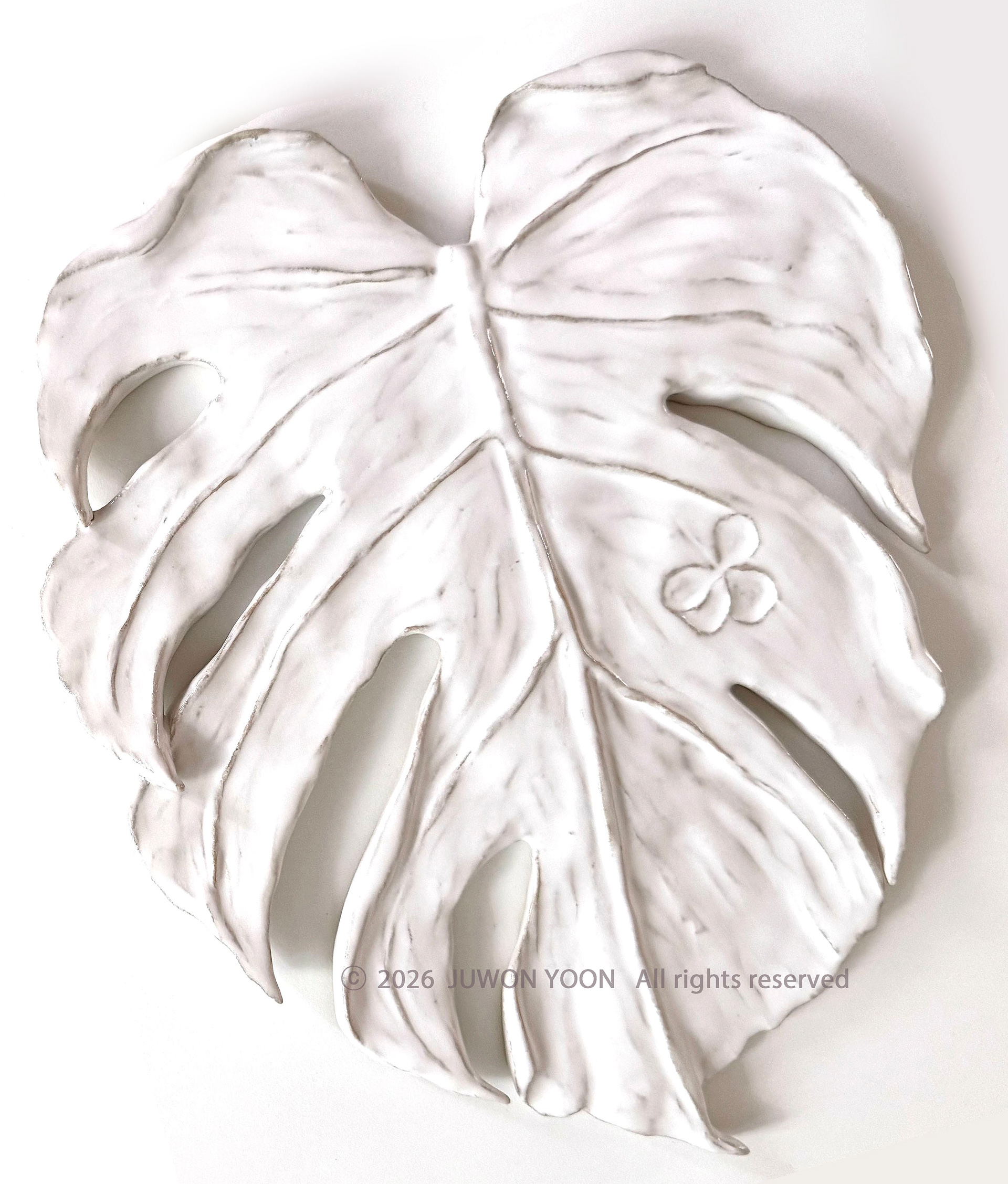 새겨진 시간 Imprinted Time Monstera_ceramic 2026