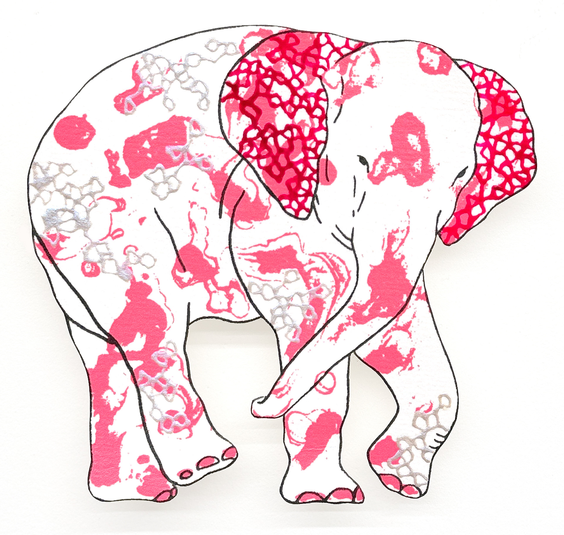 상아없는 데코펀트 Decophant without Ivory 2024 NO.5