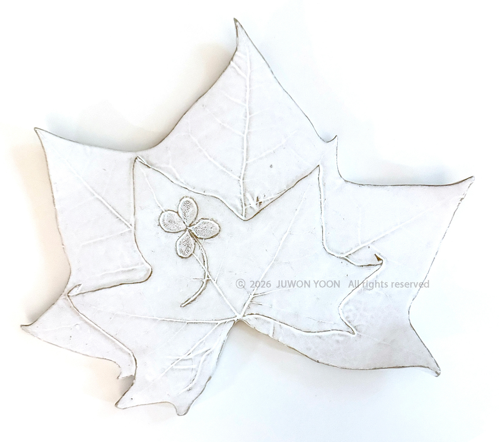새겨진 시간 Imprinted Time Platanus_ceramic 2026