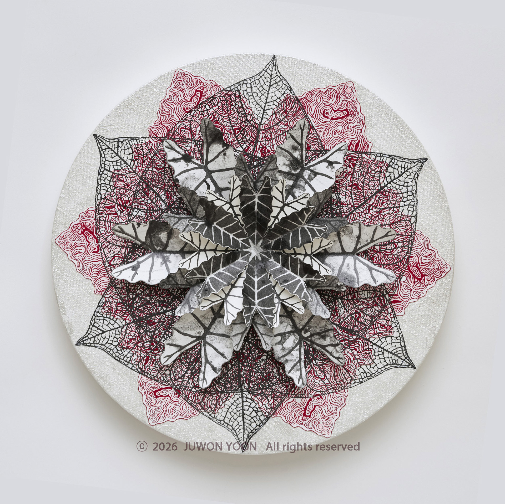 여섯잎의 순환:혈관 Rebirth-Hexa Foliage:Vein Ø40cm mixed media on canvas 2026