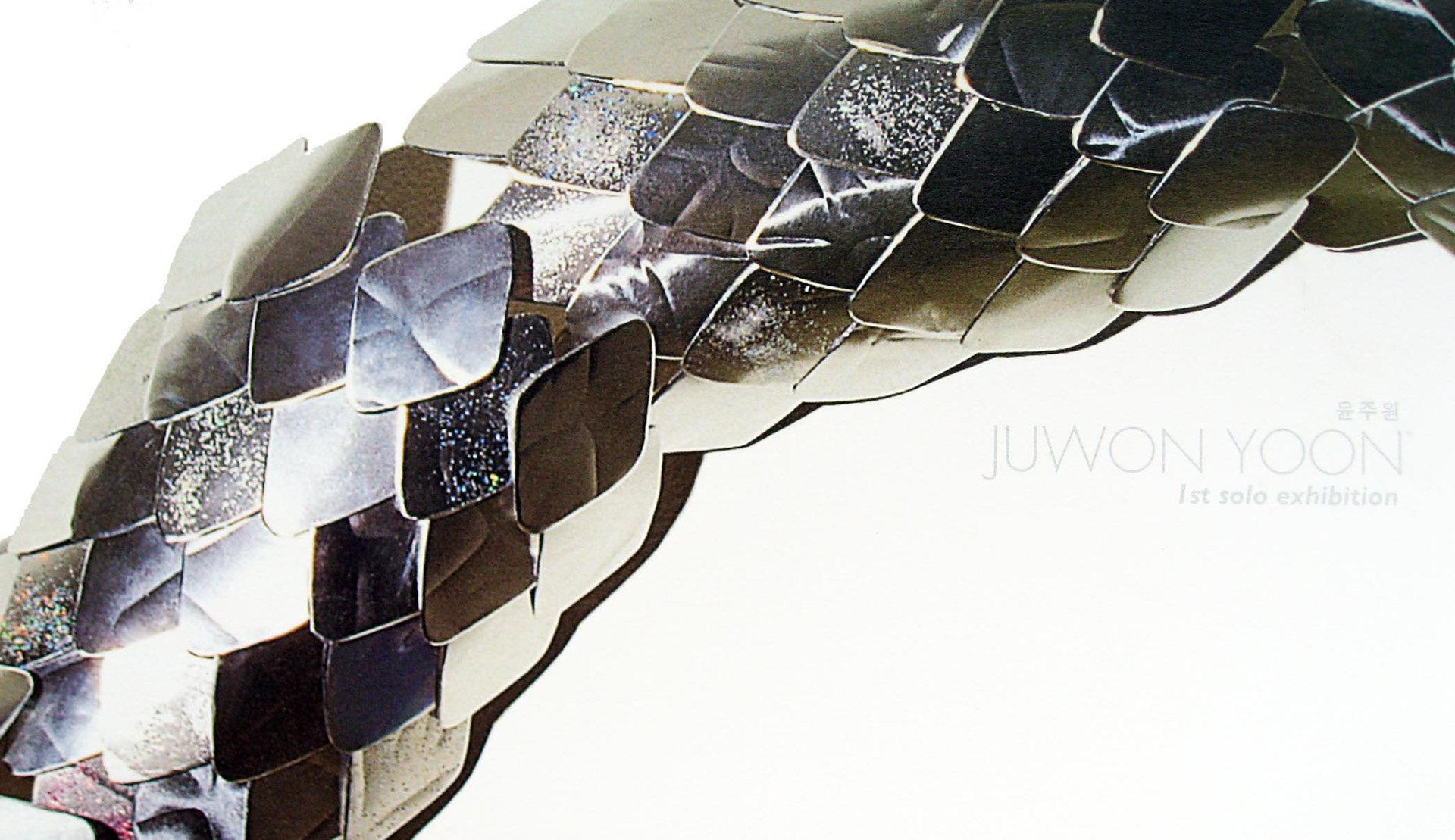 비늘 SCALE embossing on aluminum plate, 2001