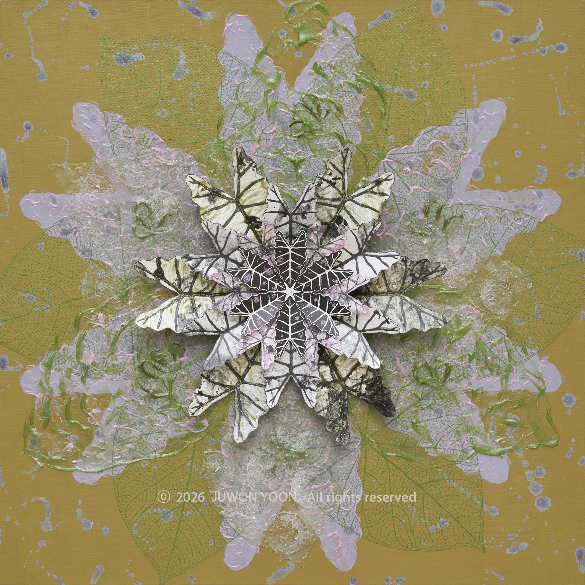 여섯잎의 순환:싹틈 Rebirth-Hexa Foliage: Sprout 73x73cm mixed media on canvas 2026