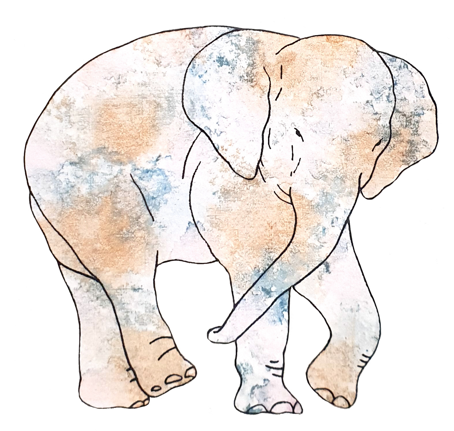 상아없는 데코펀트 DECOPHANT without IVORY 20 2022