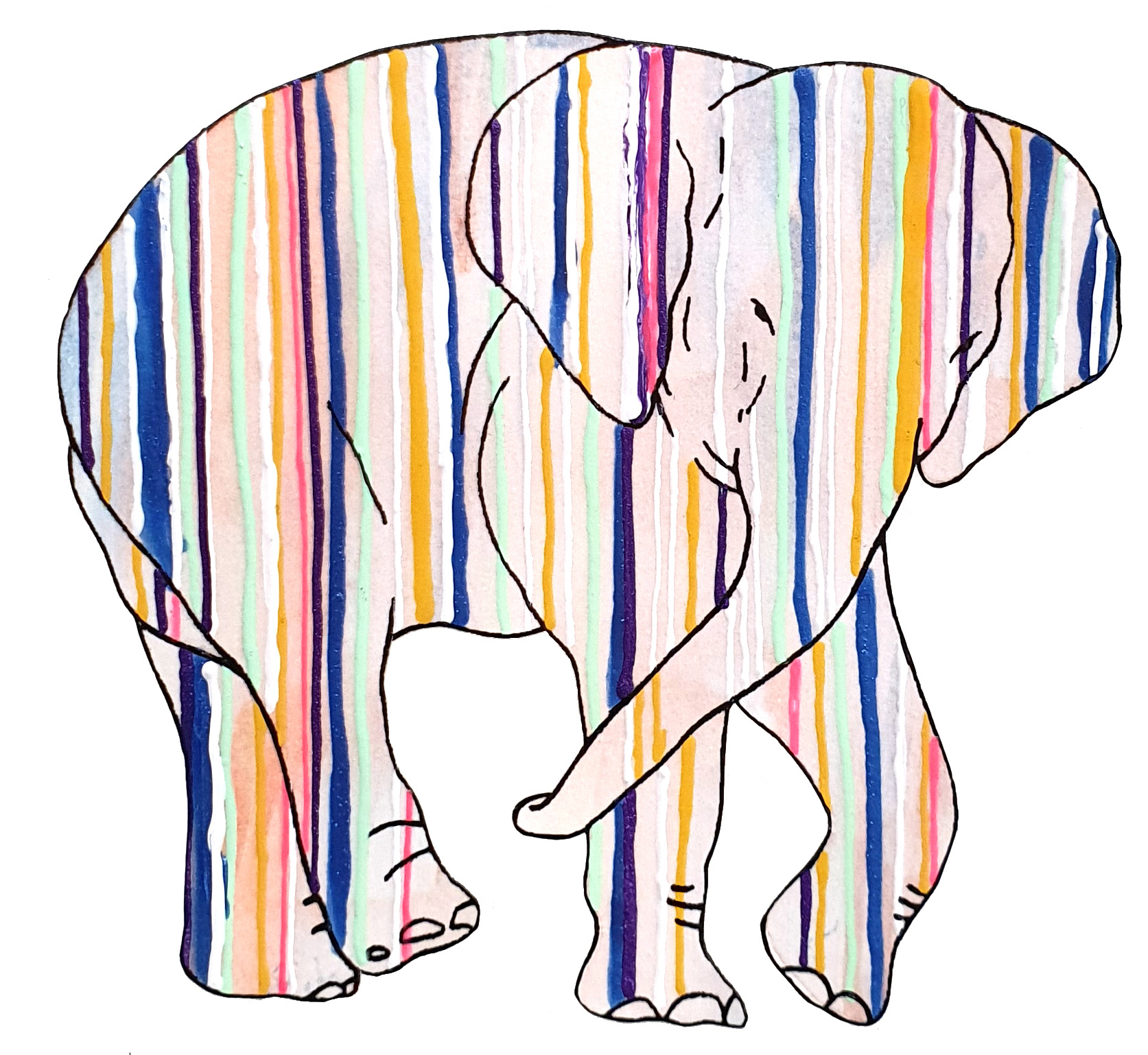 상아없는 데코펀트 DECOPHANT without IVORY 10 2022