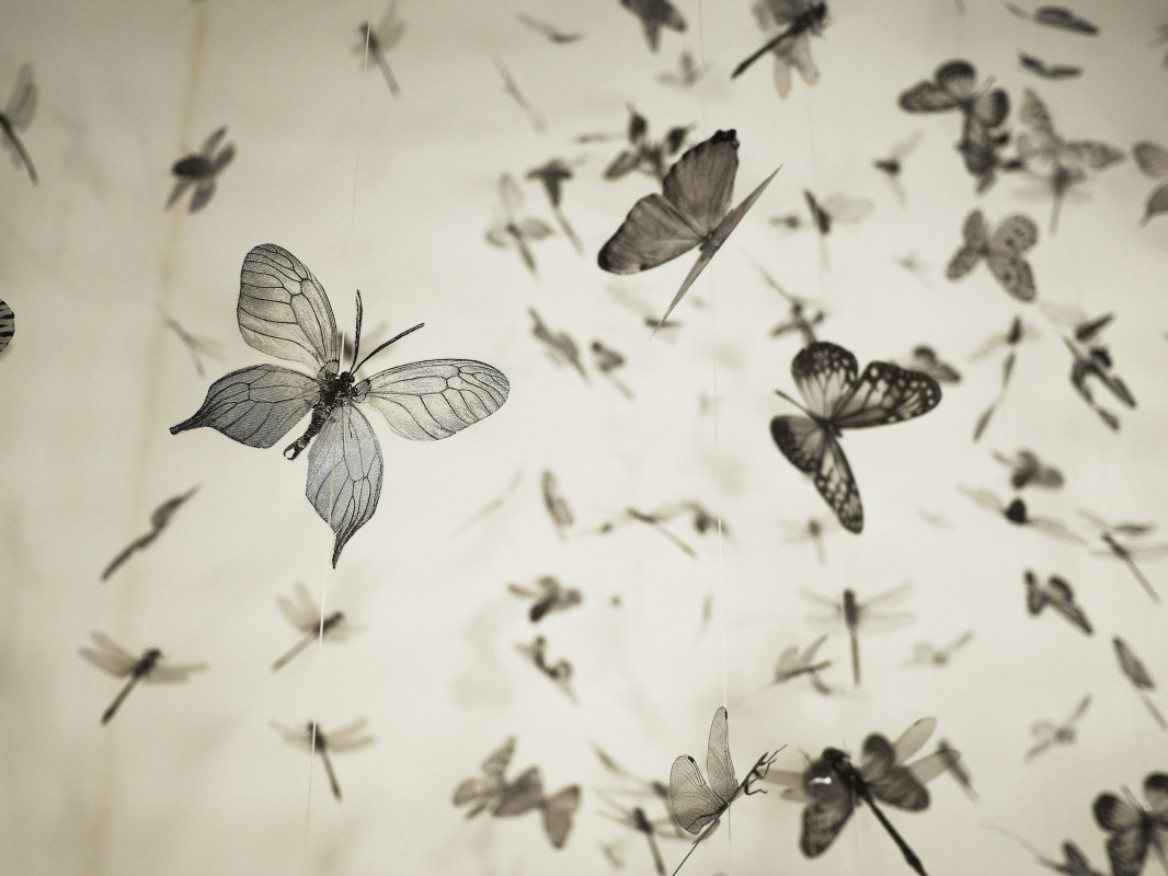 SPREAD WINGS 280x380cm print on OHP film installation 2013