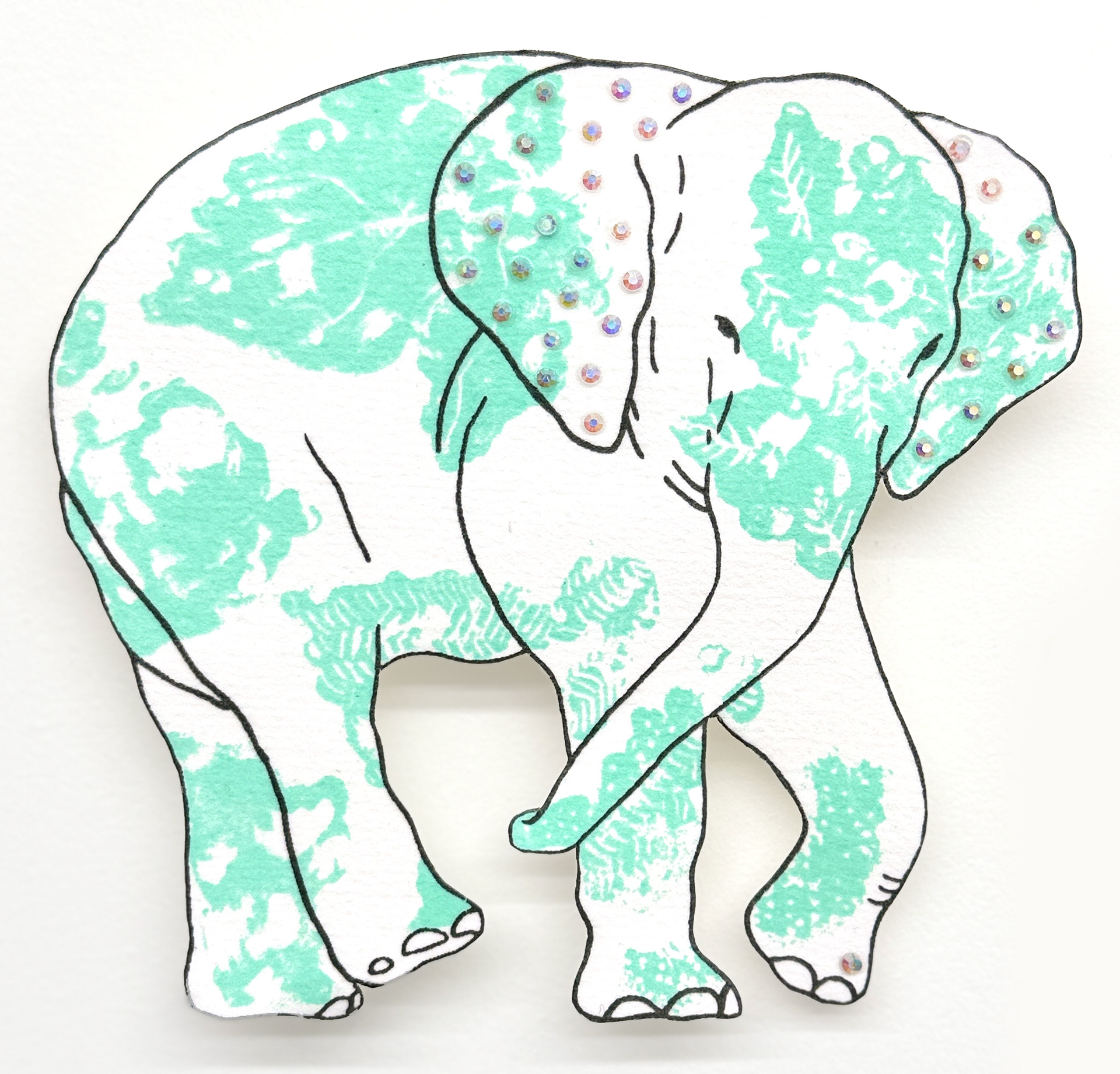 상아없는 데코펀트 Decophant without Ivory 2024 NO.13