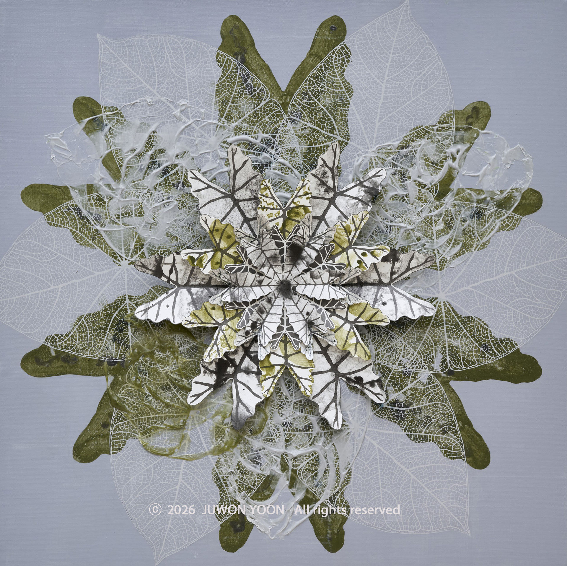 여섯잎의 순환:피어남 Rebirth-Hexa Foliage: Bloom 73x73cm mixed media on canvas 2026