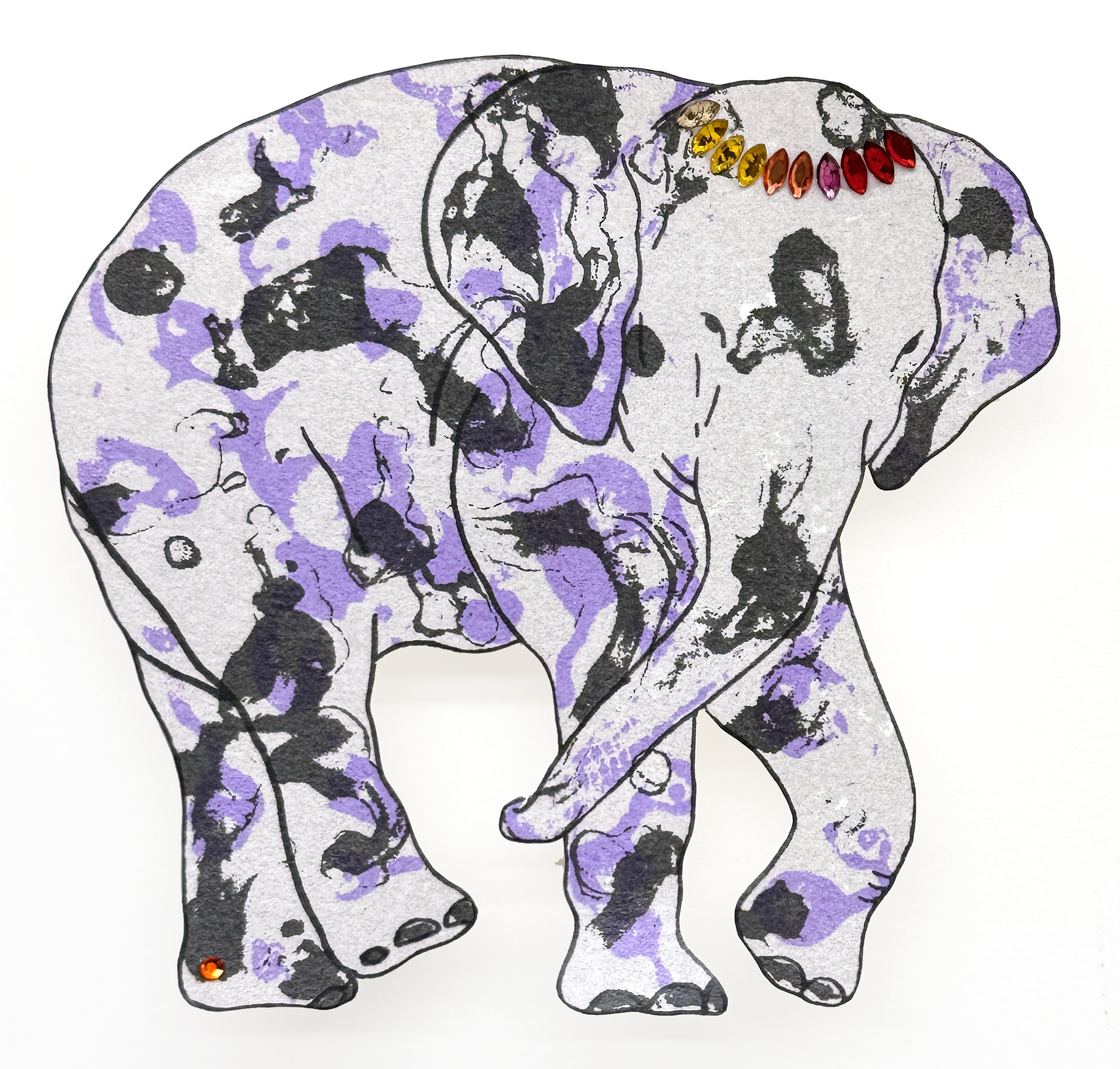 상아없는 데코펀트 Decophant without Ivory 2024 NO.30