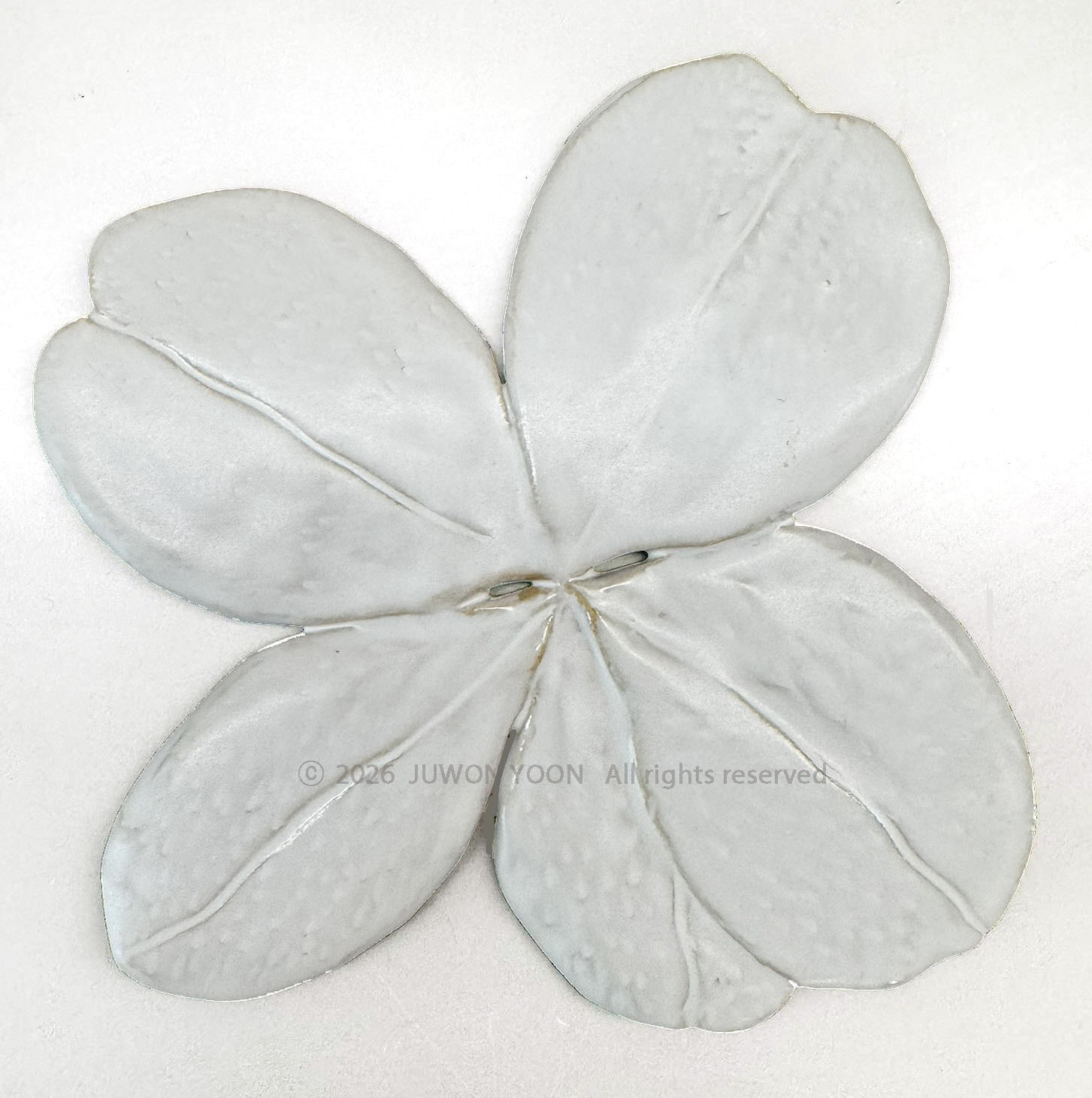 다섯잎 클로버 Five-leaf Clover_ceramic 2026