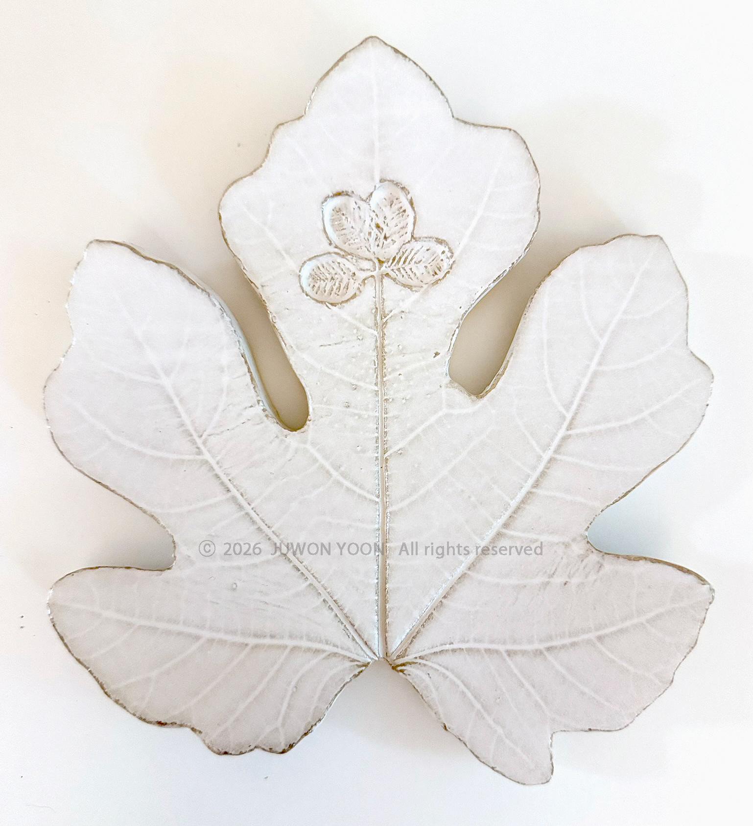 새겨진 시간 Imprinted Time_Fig Leaf_ceramic 2026