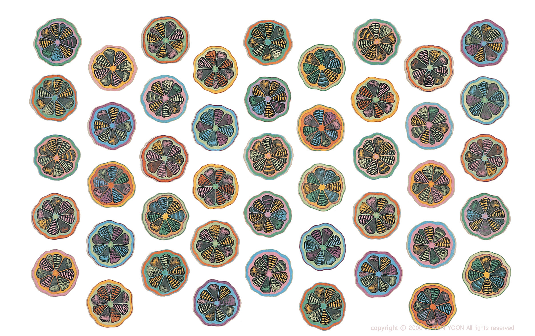 ORANGE 45 150x250cm, lithograph and installation, 1999