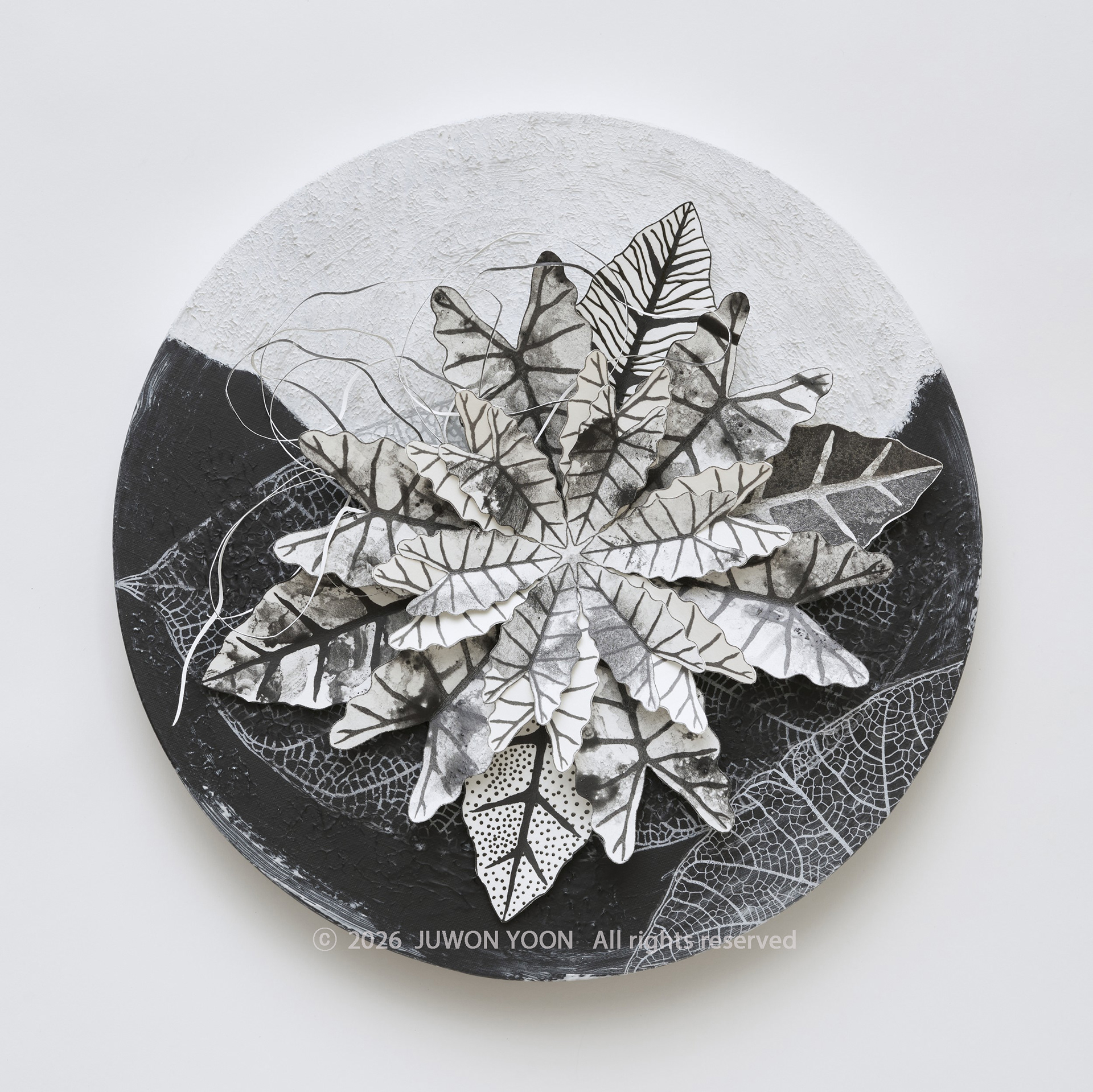 여섯잎의 순환:중심축 Rebirth-Hexa Foliage: Axis Ø40cm mixed media on canvas 2026
