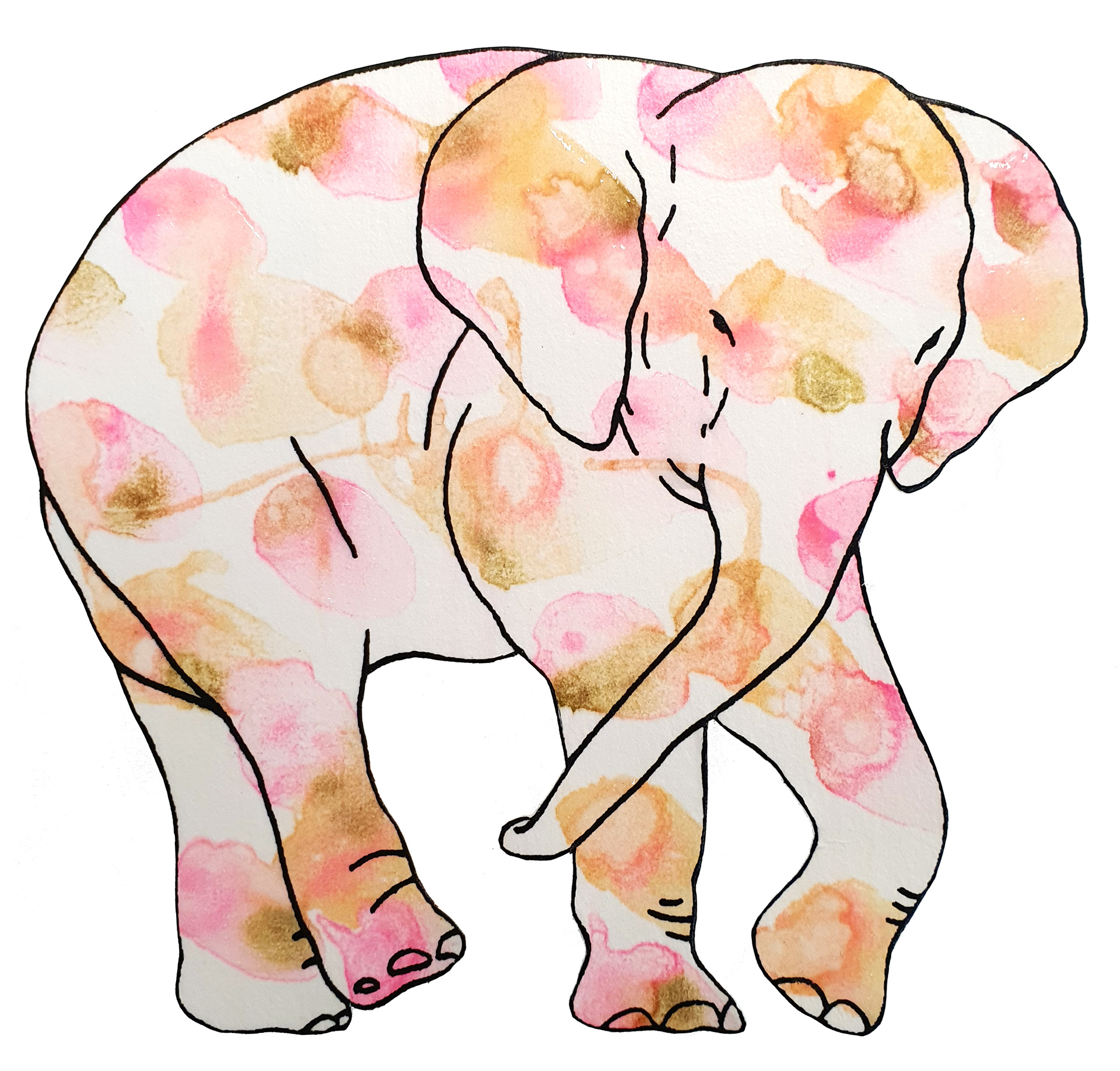 상아없는 데코펀트 Decophant without Ivory 2024 NO.1