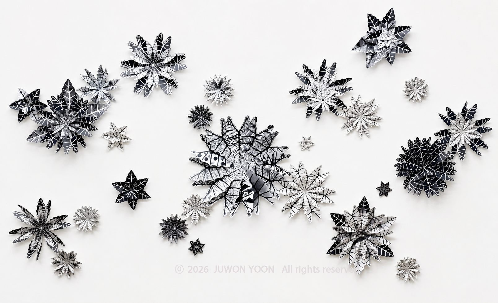 하나의 잎, 무한한 변주 One Leaf, Infinite Variation_mixed media on paper_installation 2026