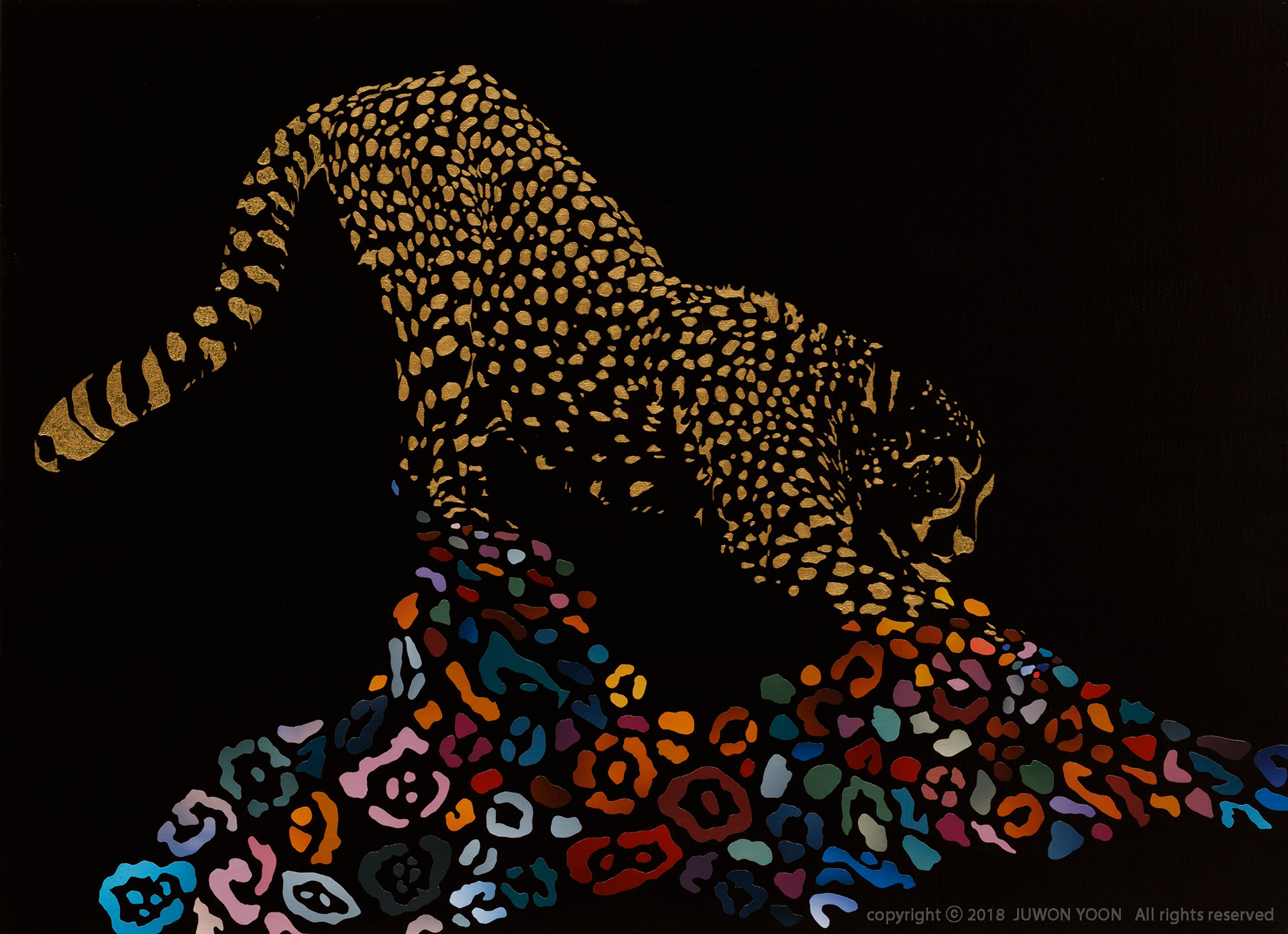 얼룩무늬 SPOTS 72.7x100cm acrylic and collage on canvas 2018