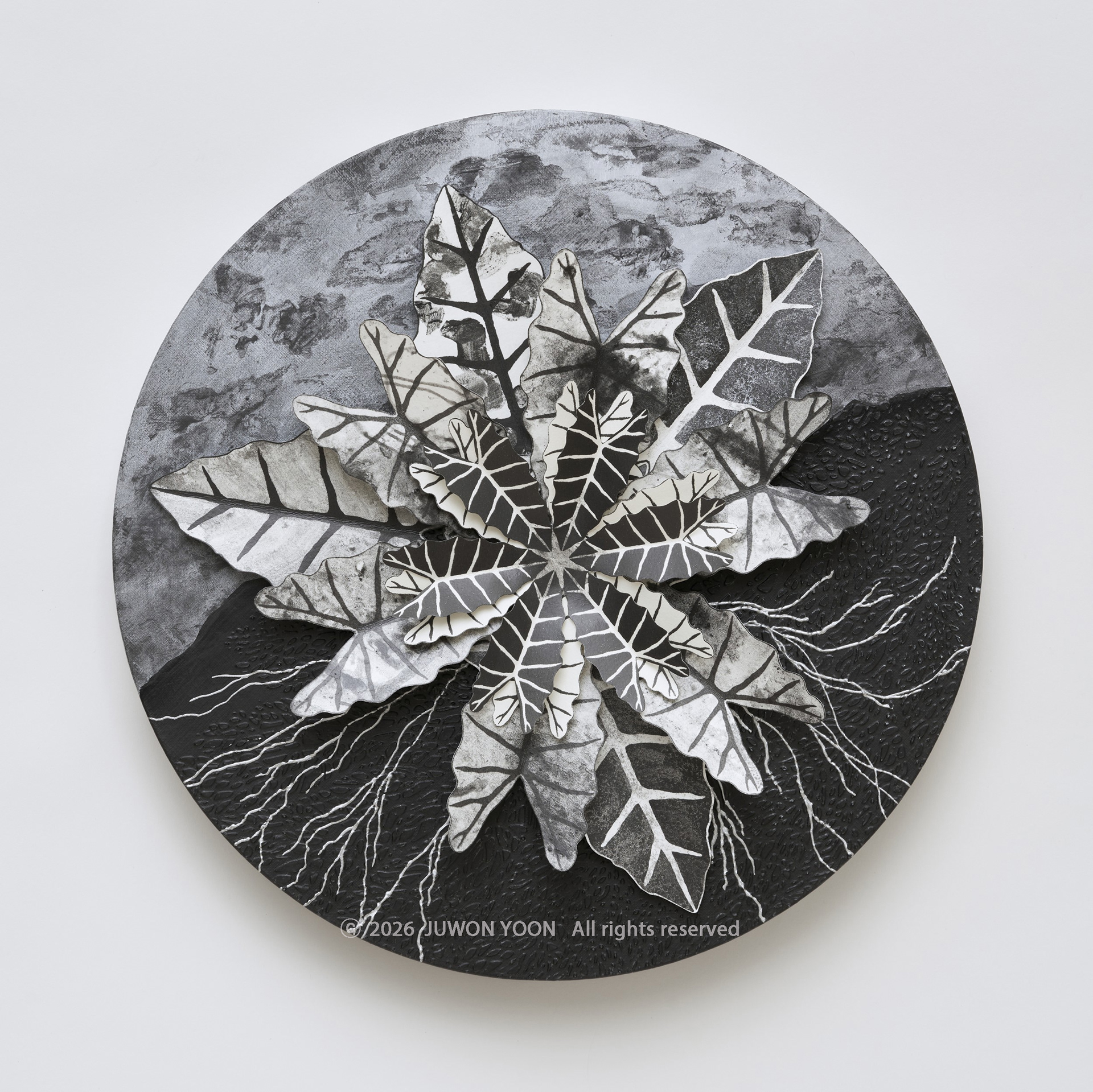 여섯잎의 순환:흘러감 Rebirth-Hexa Foliage:Drift Ø40cm mixed media on canvas 2026