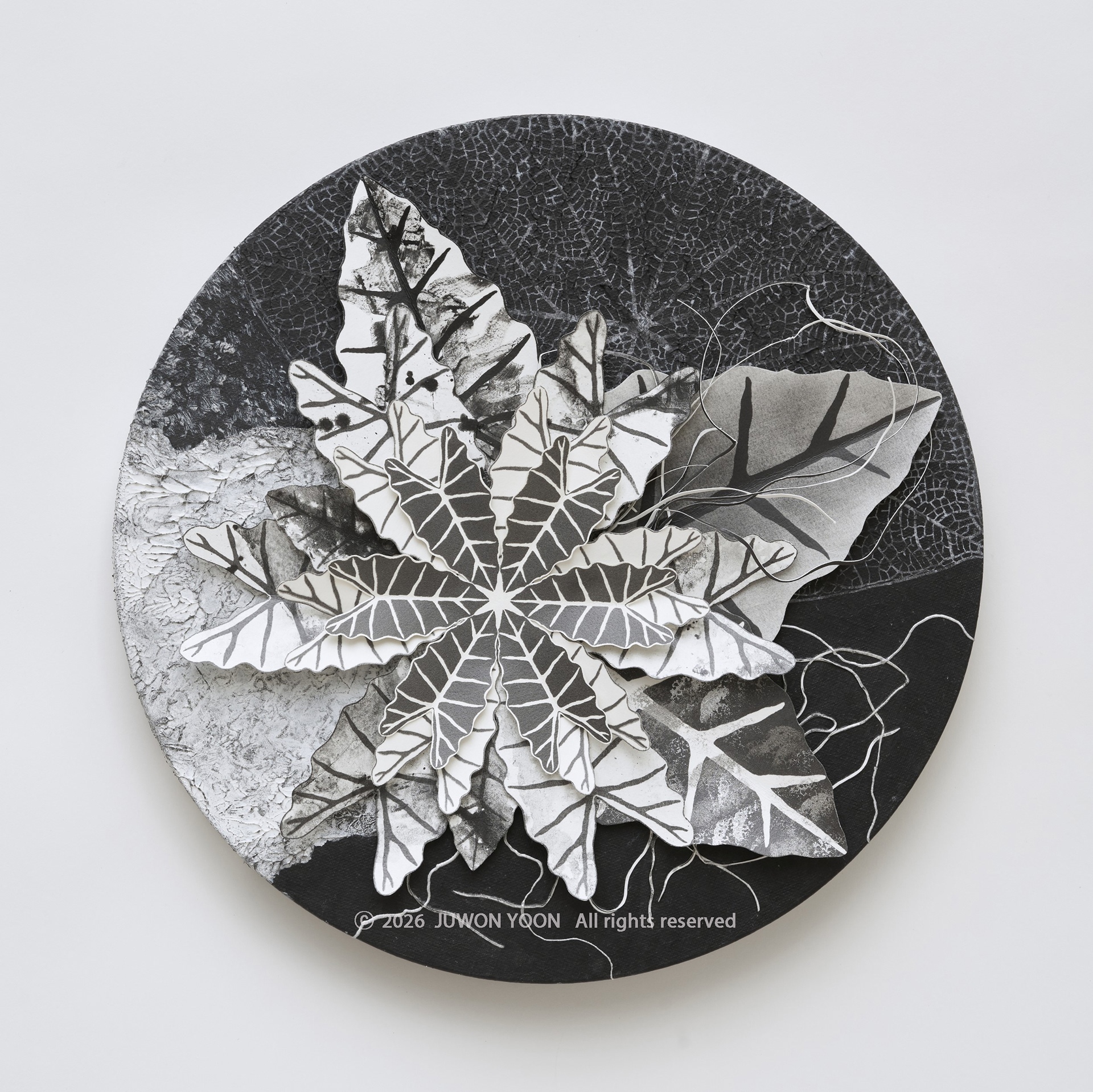 여섯잎의 순환:변주 Rebirth-Hexa Foliage:Variation Ø40cm mixed media on canvas 2026