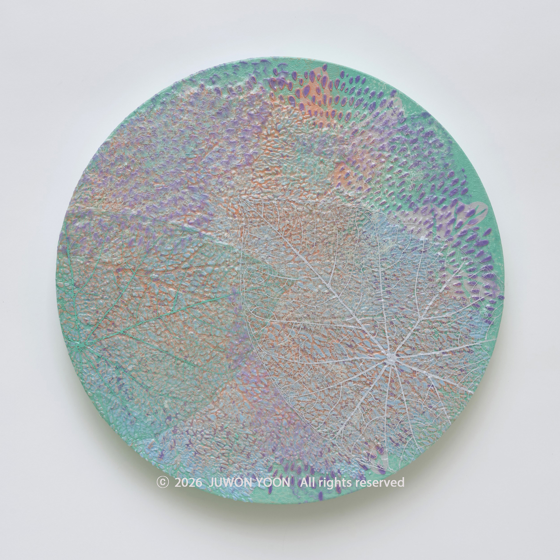 이파리의 결:흔적 Layered Foliage:Trace Ø40cm mixed media on canvas 2026