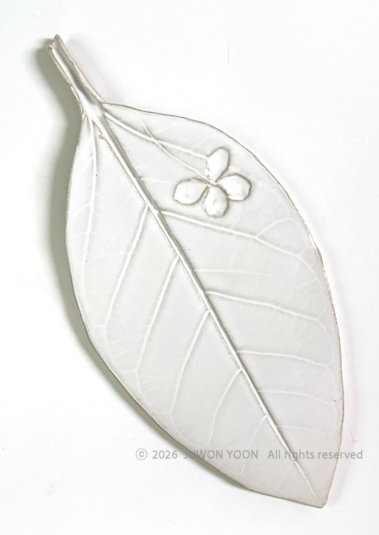 새겨진 시간 Imprinted Time Bengal Fig_ceramic 2026