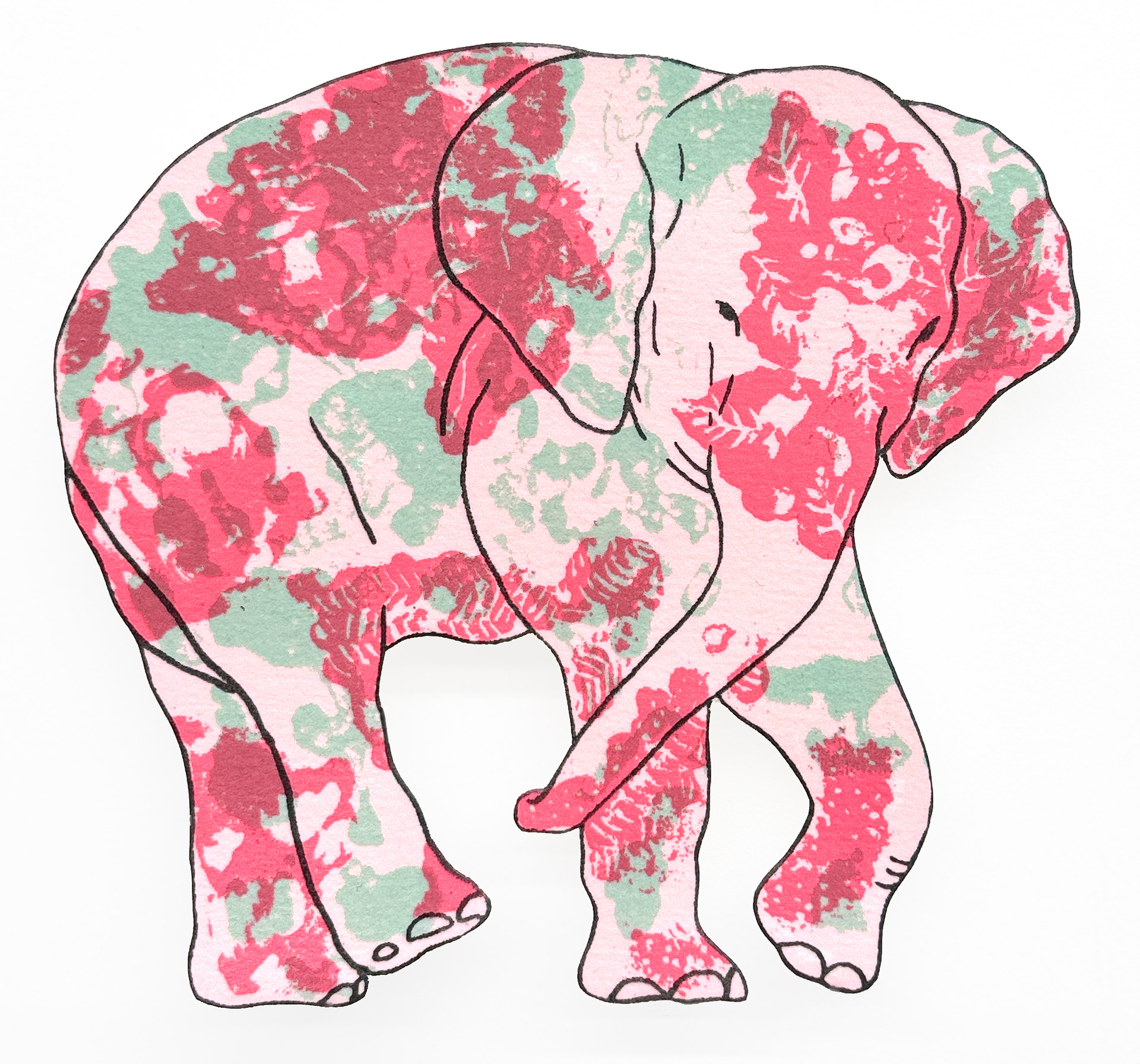 상아없는 데코펀트 Decophant without Ivory 2024 NO.7