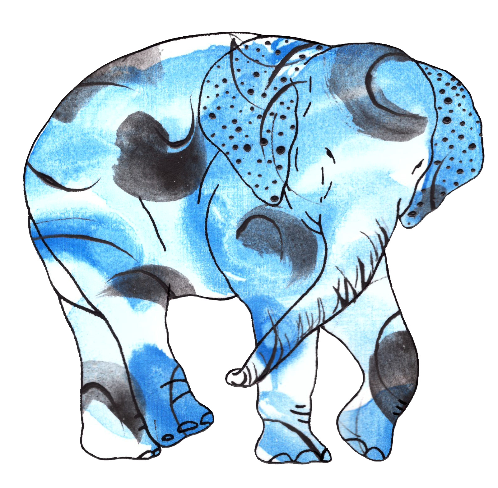 상아없는 데코펀트 DECOPHANT without IVORY 05 2022