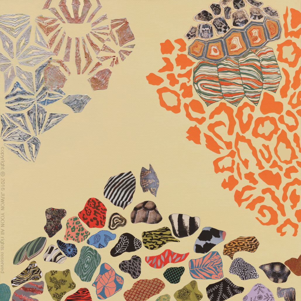 거북이 패턴연구 STUDY OF PATTERNS IN A TORTOISE 72.7x72.7cm acrylic and collage on canvas, 2016