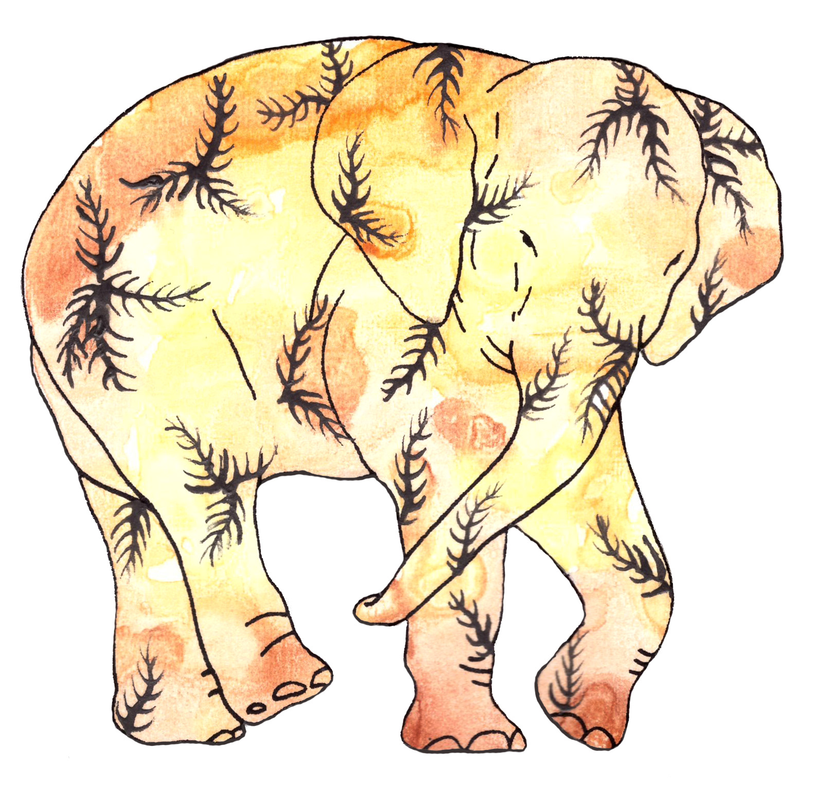 상아없는 데코펀트 DECOPHANT without IVORY 16 2022