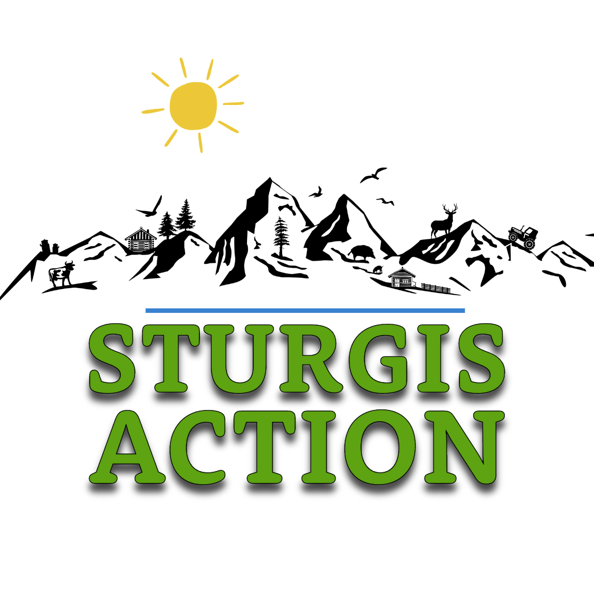 Sturgis Action City Information