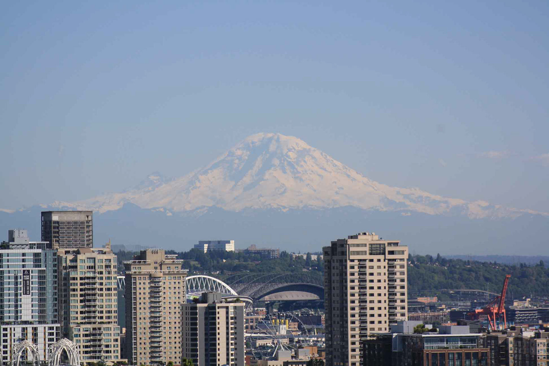 Mt. Rainier On A Clear Day