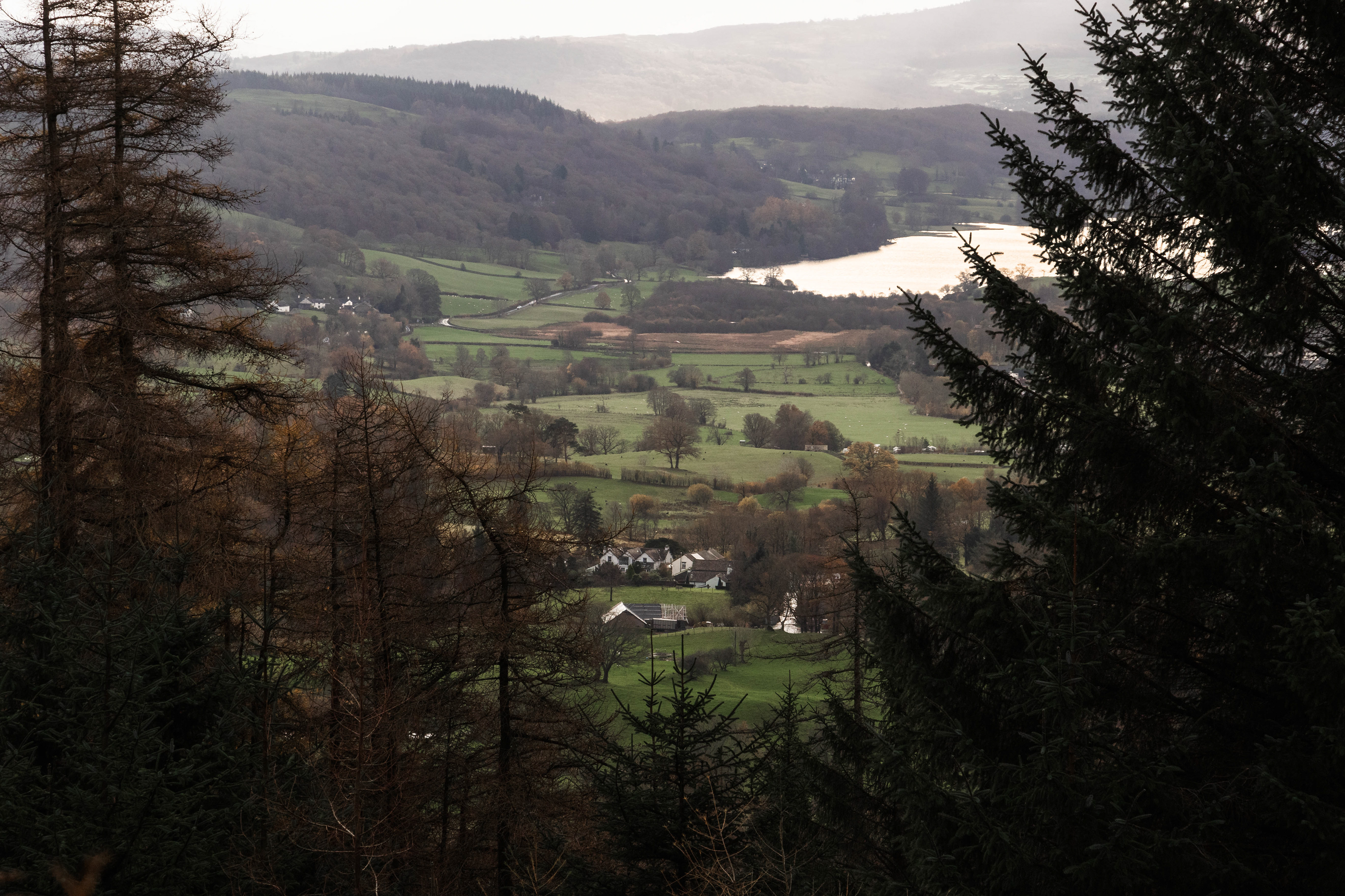 Looking back to Tarn Hows.