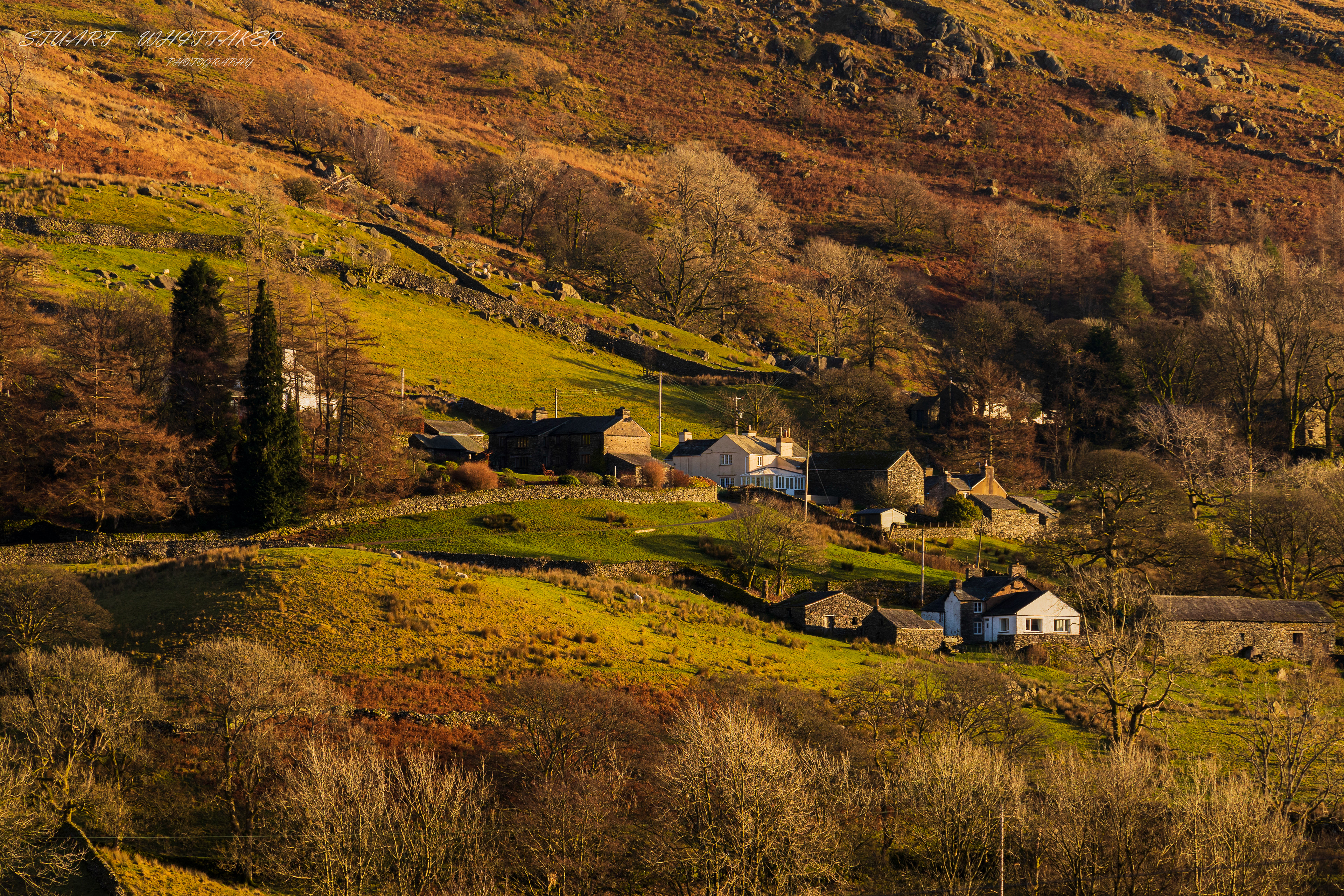 Hill Top Home.