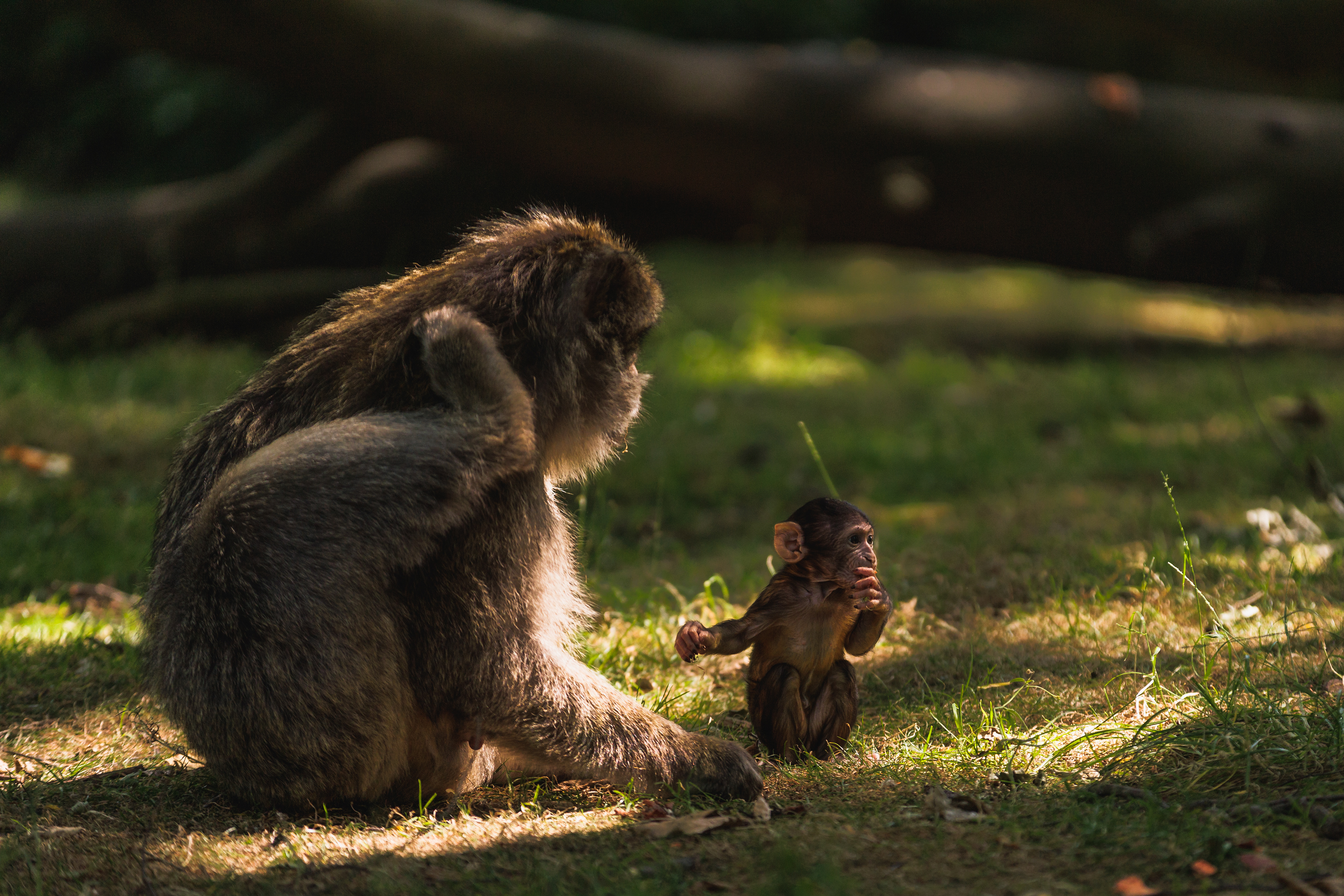 Father and Baby.