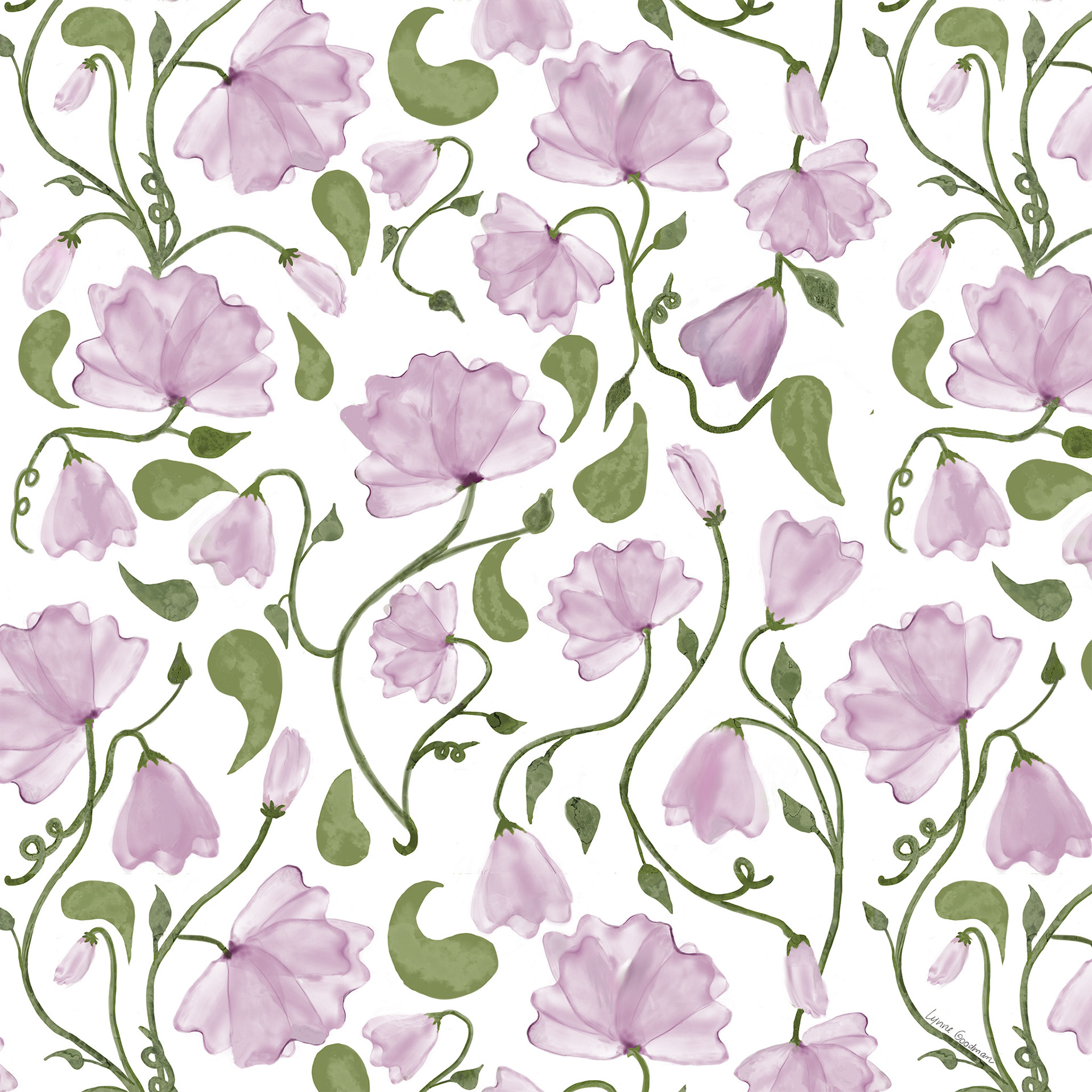 Pink on White Sweet Pea
