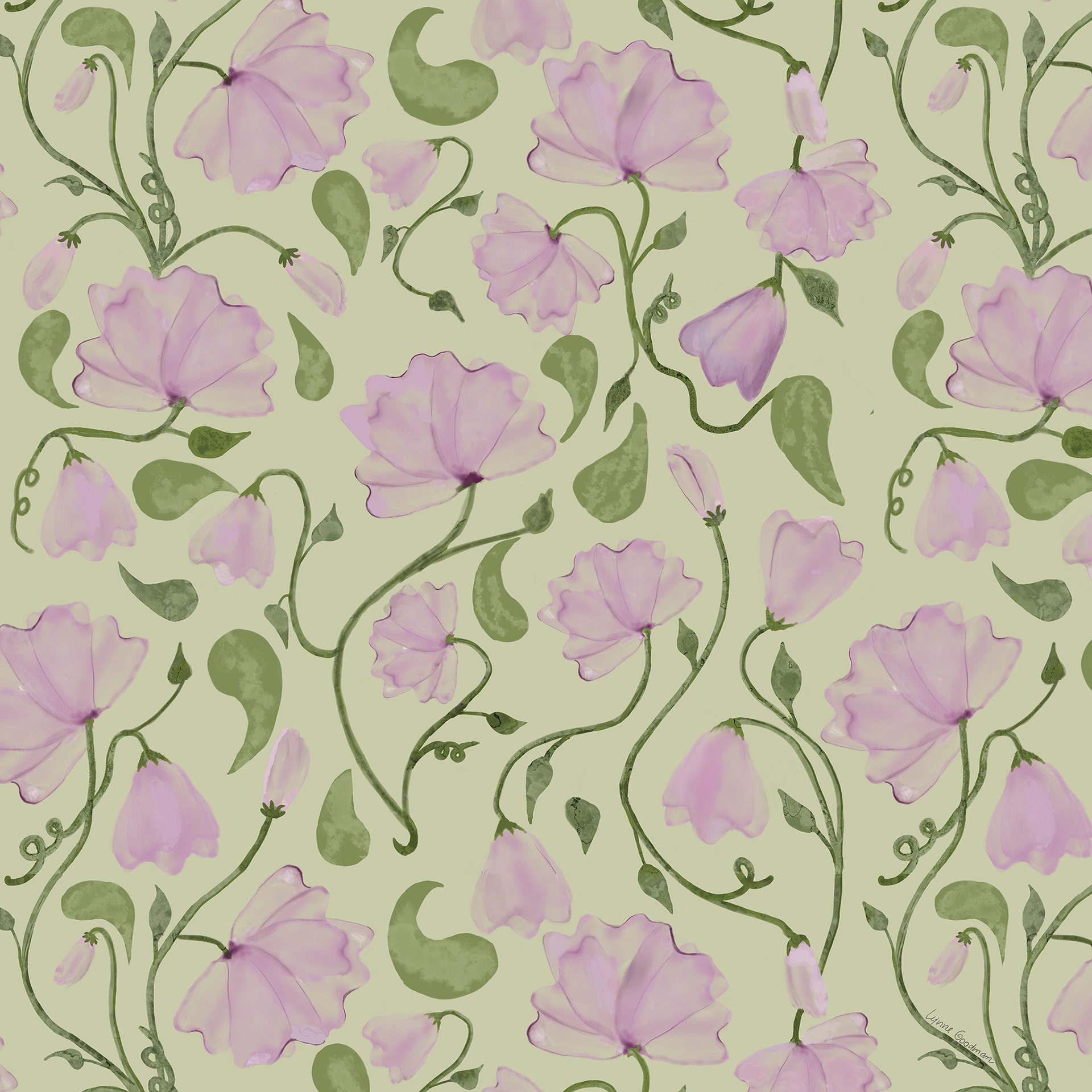 Pink on Celery Sweet Pea