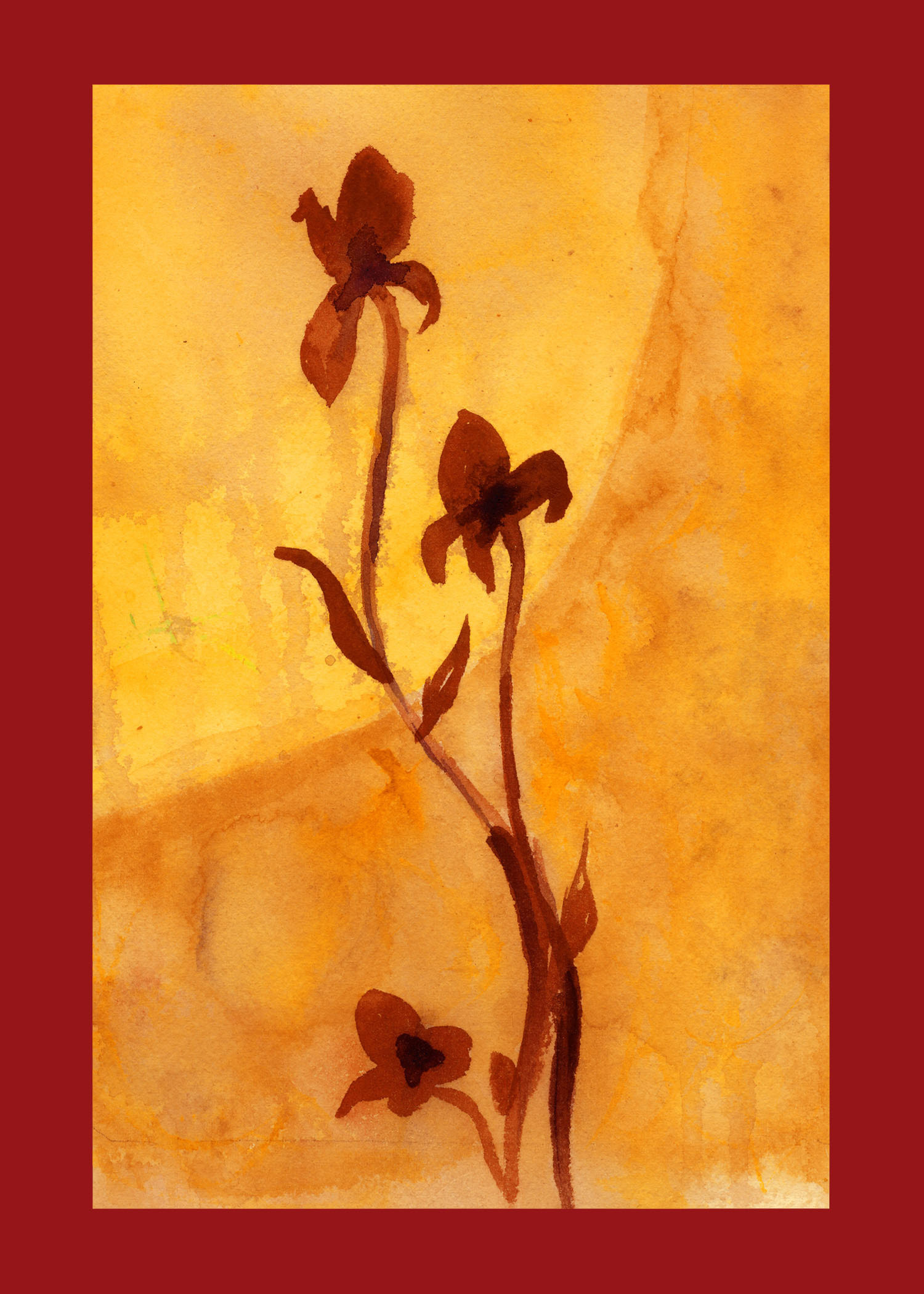 Flowers Against the Sun