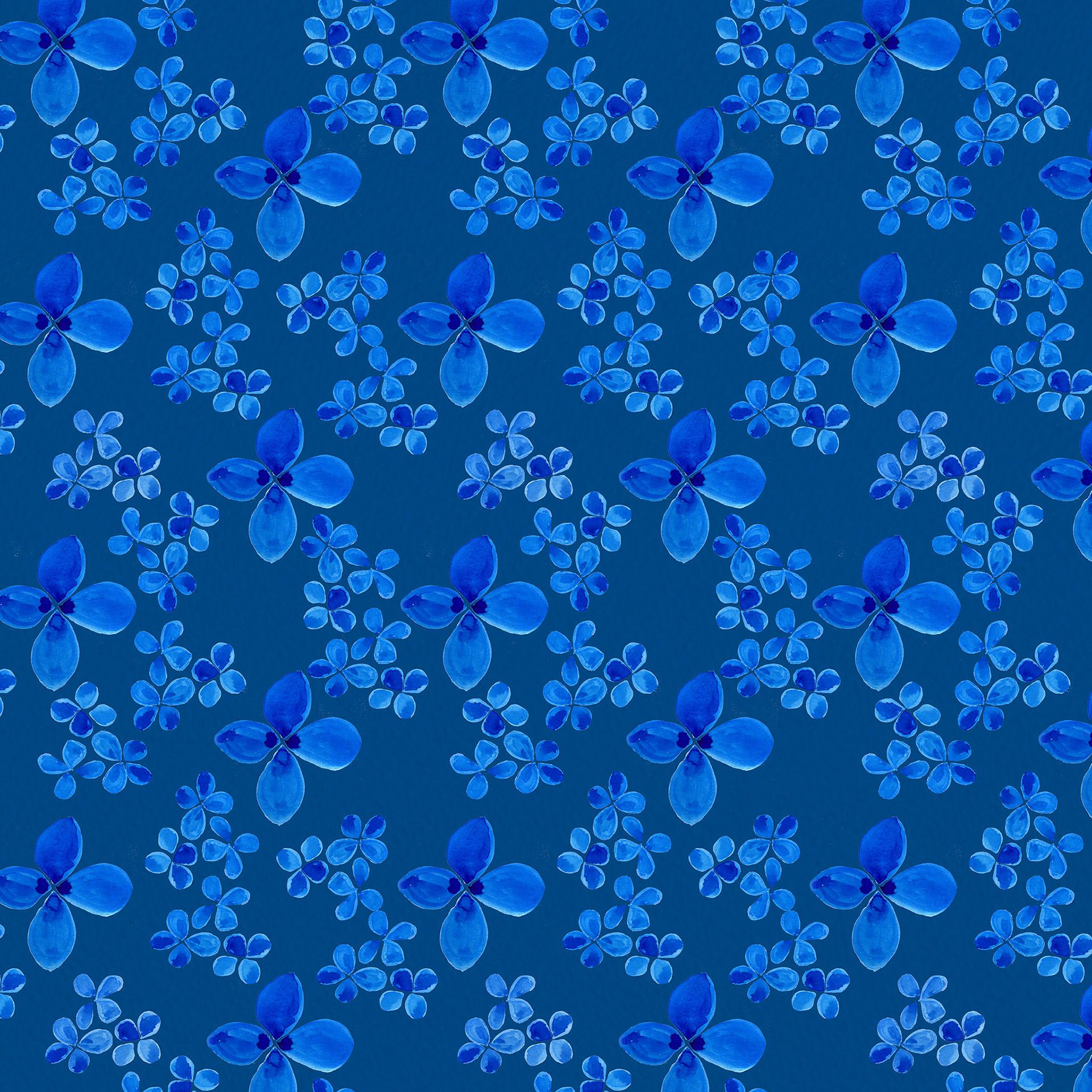 Blue Slate Hydrangeas