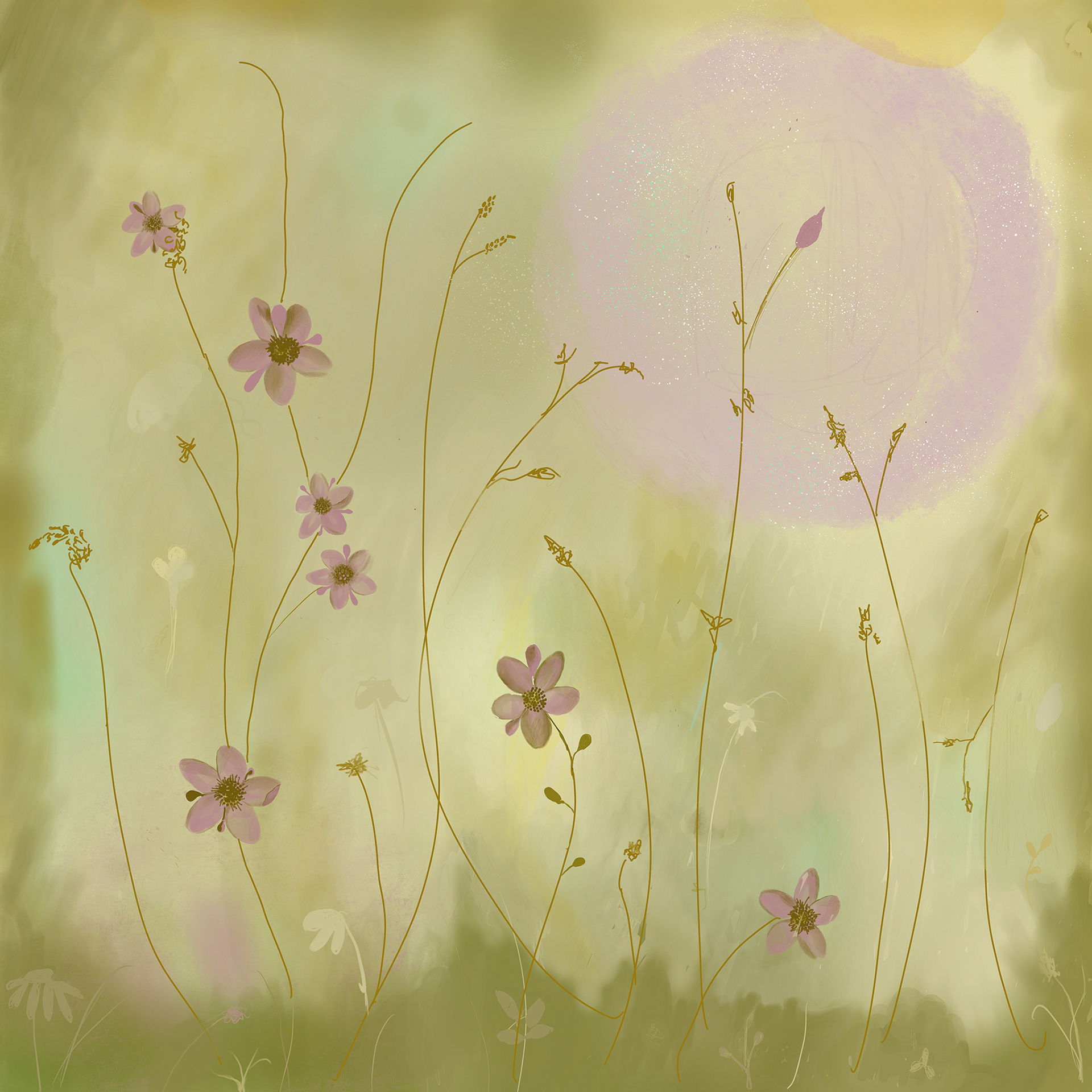 Hazy Meadow