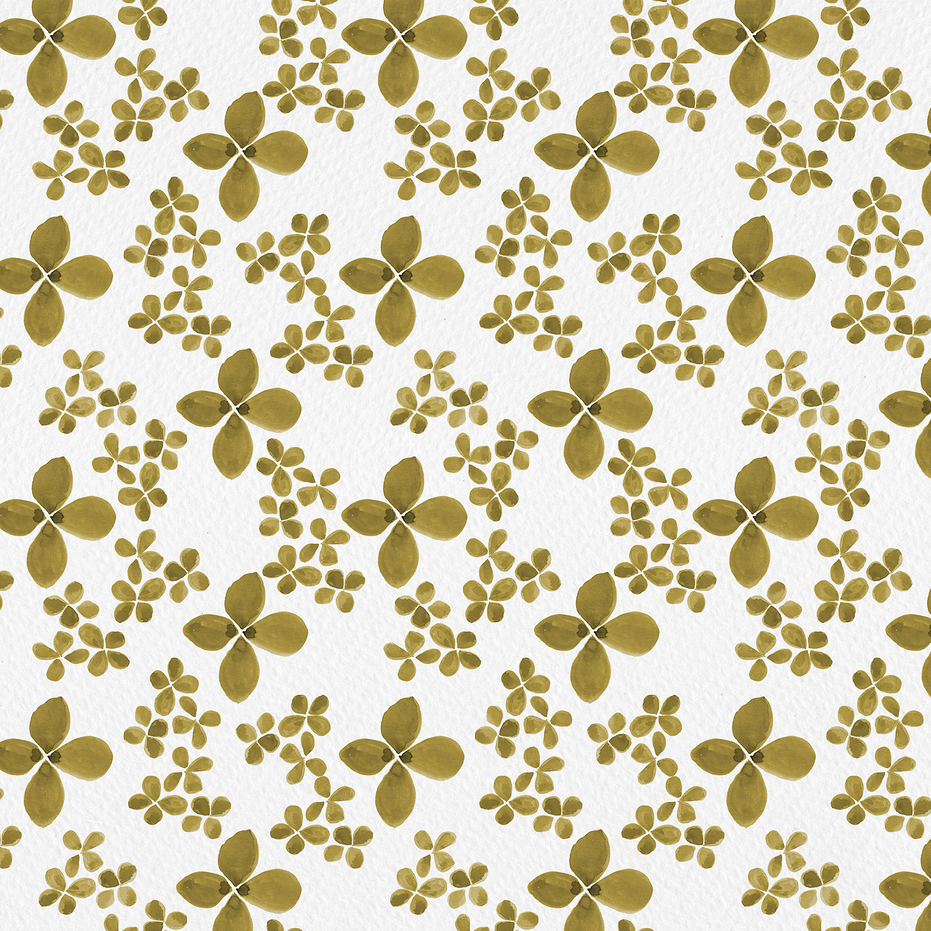 Sage Gold Hydrangeas