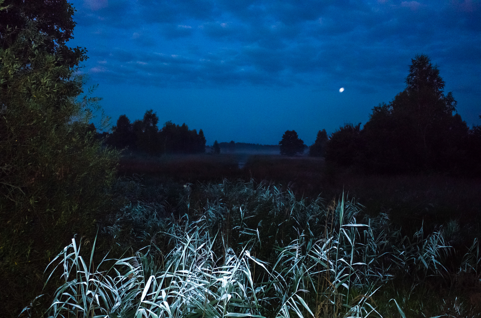 Czas do lasu iść znowu