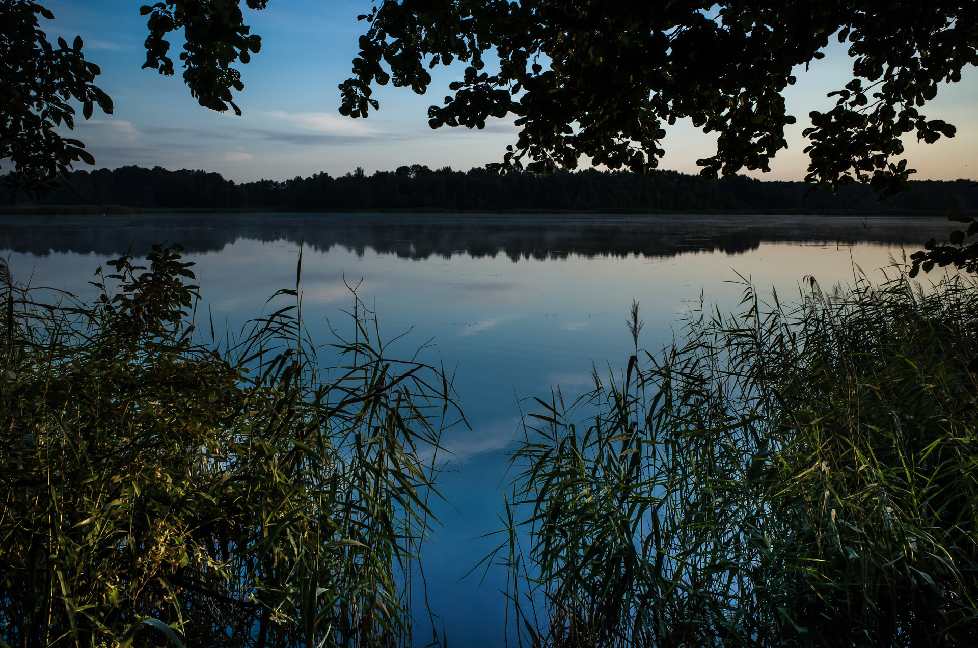 Lubię na polanę się wbić z dala