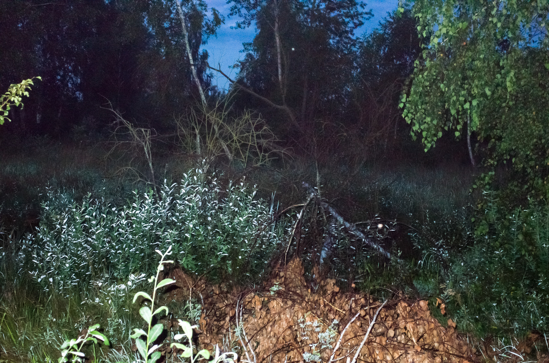 Polana myśli rozwiane scala