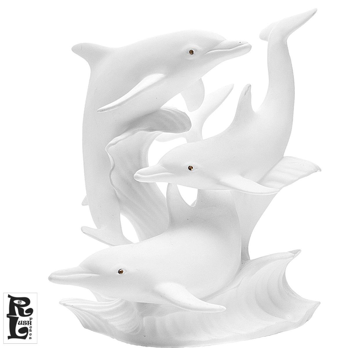 Dolphin Study